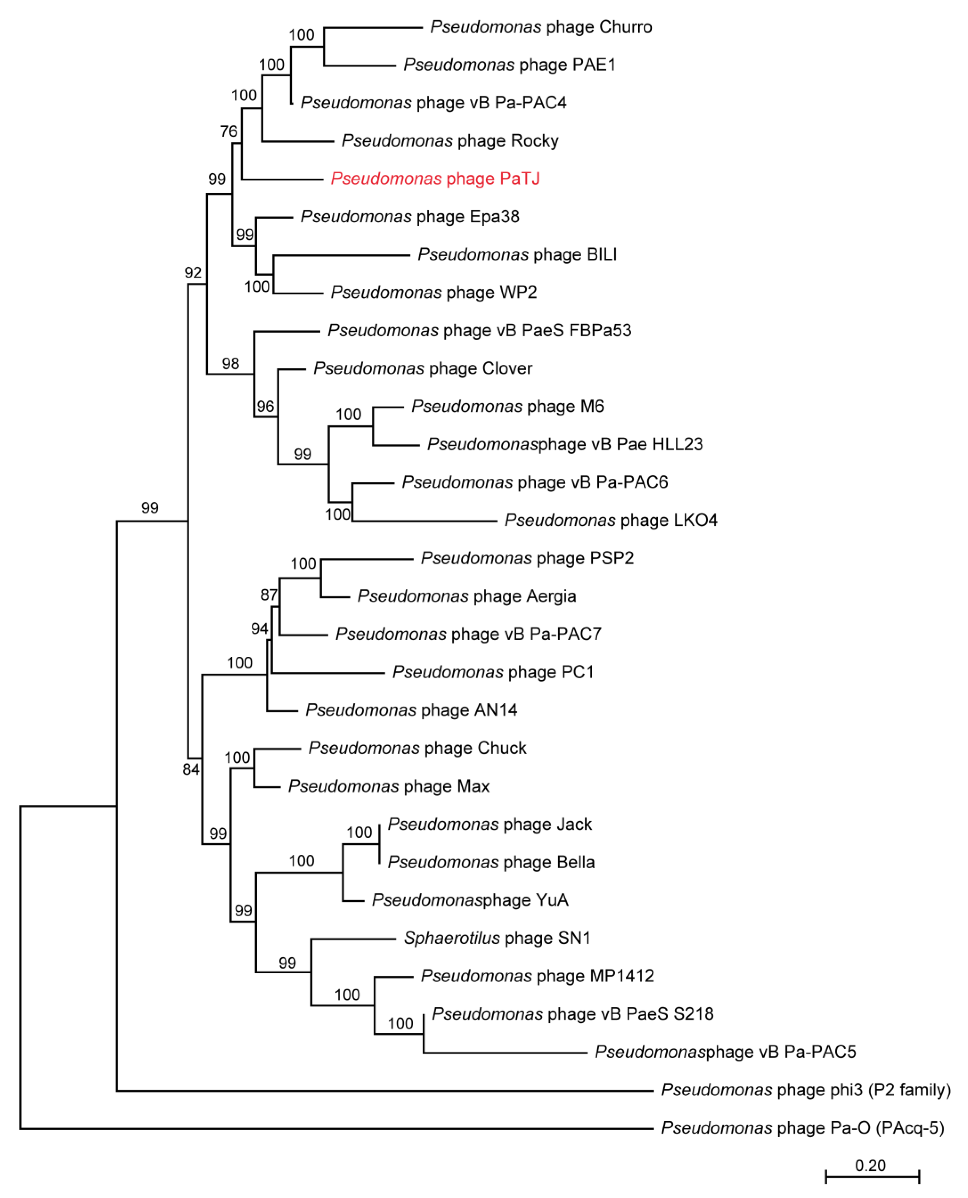 Viruses 16 01816 g005