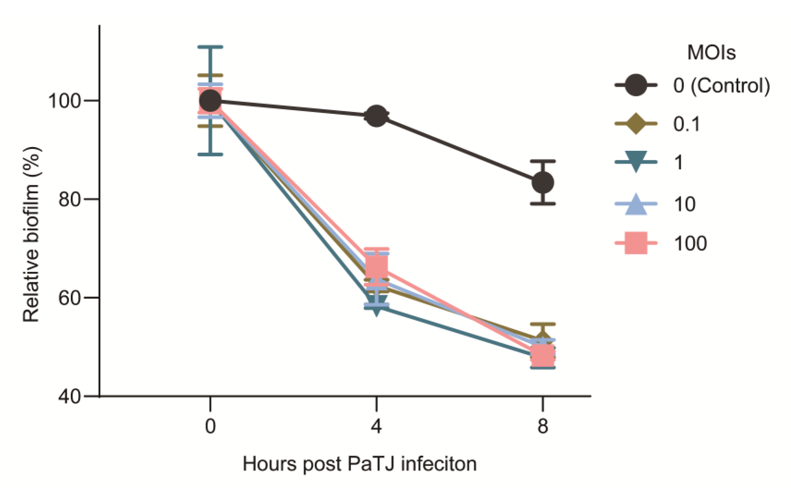 Viruses 16 01816 g008