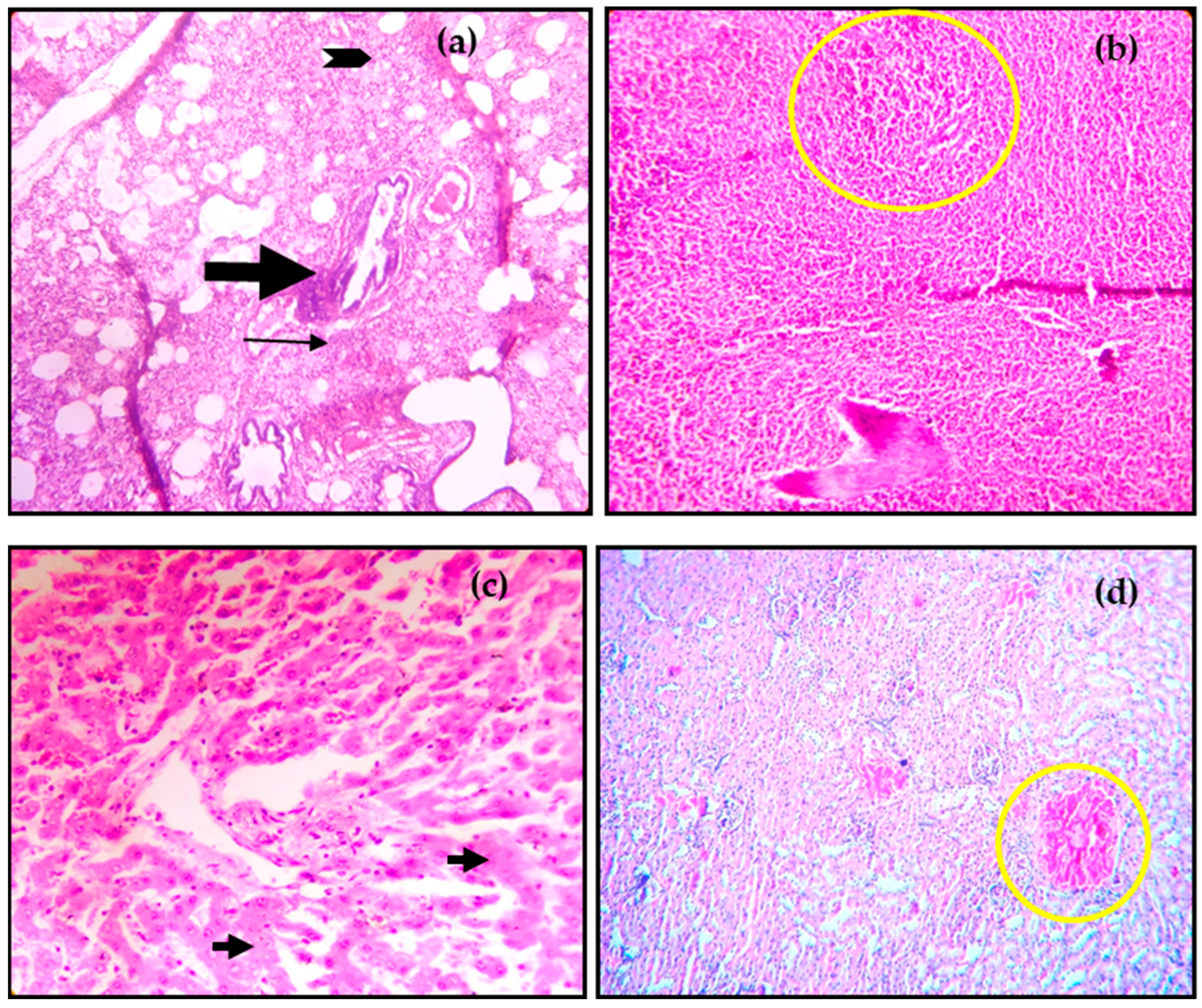 Viruses 16 01829 g004