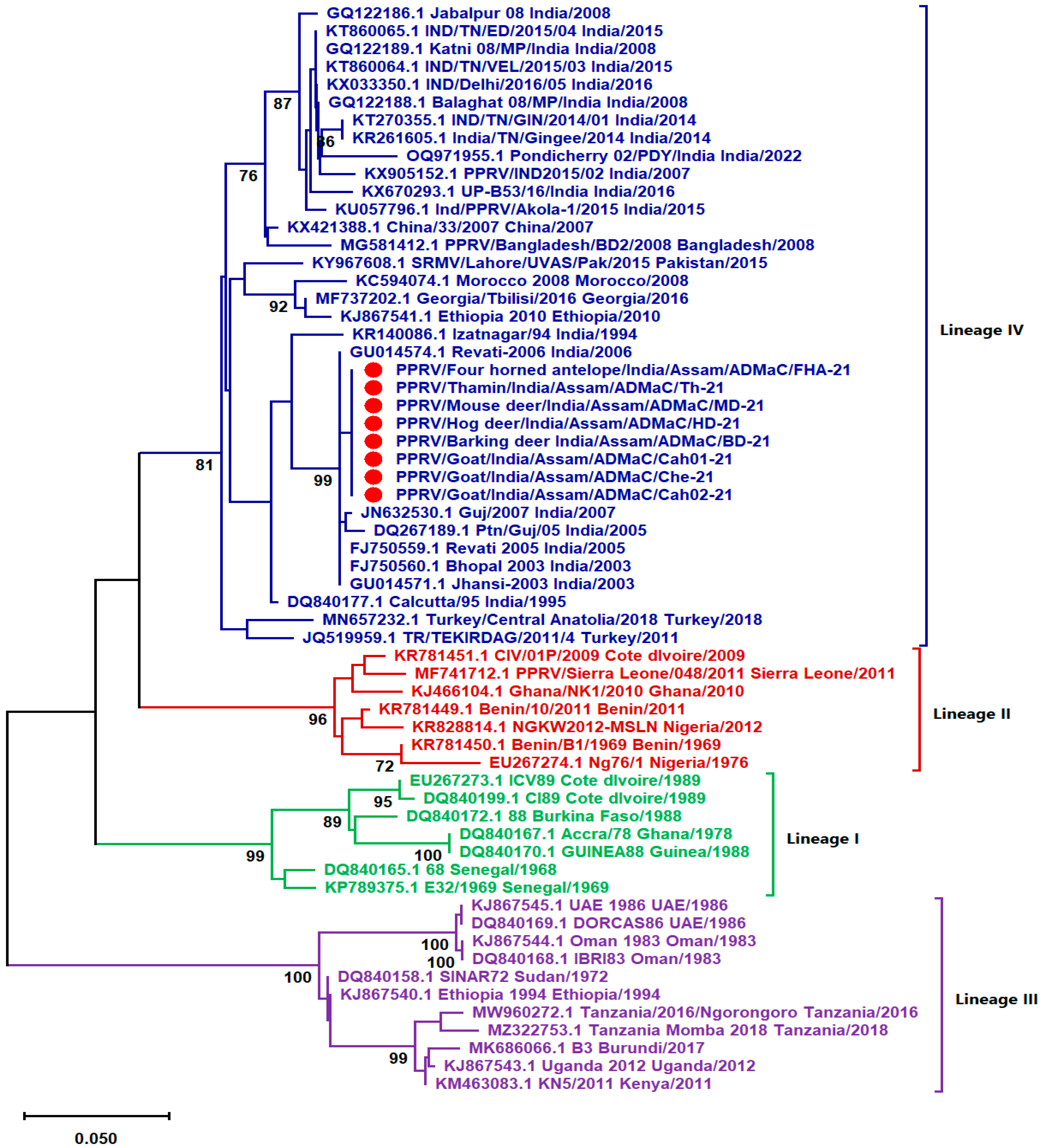 Viruses 16 01829 g005