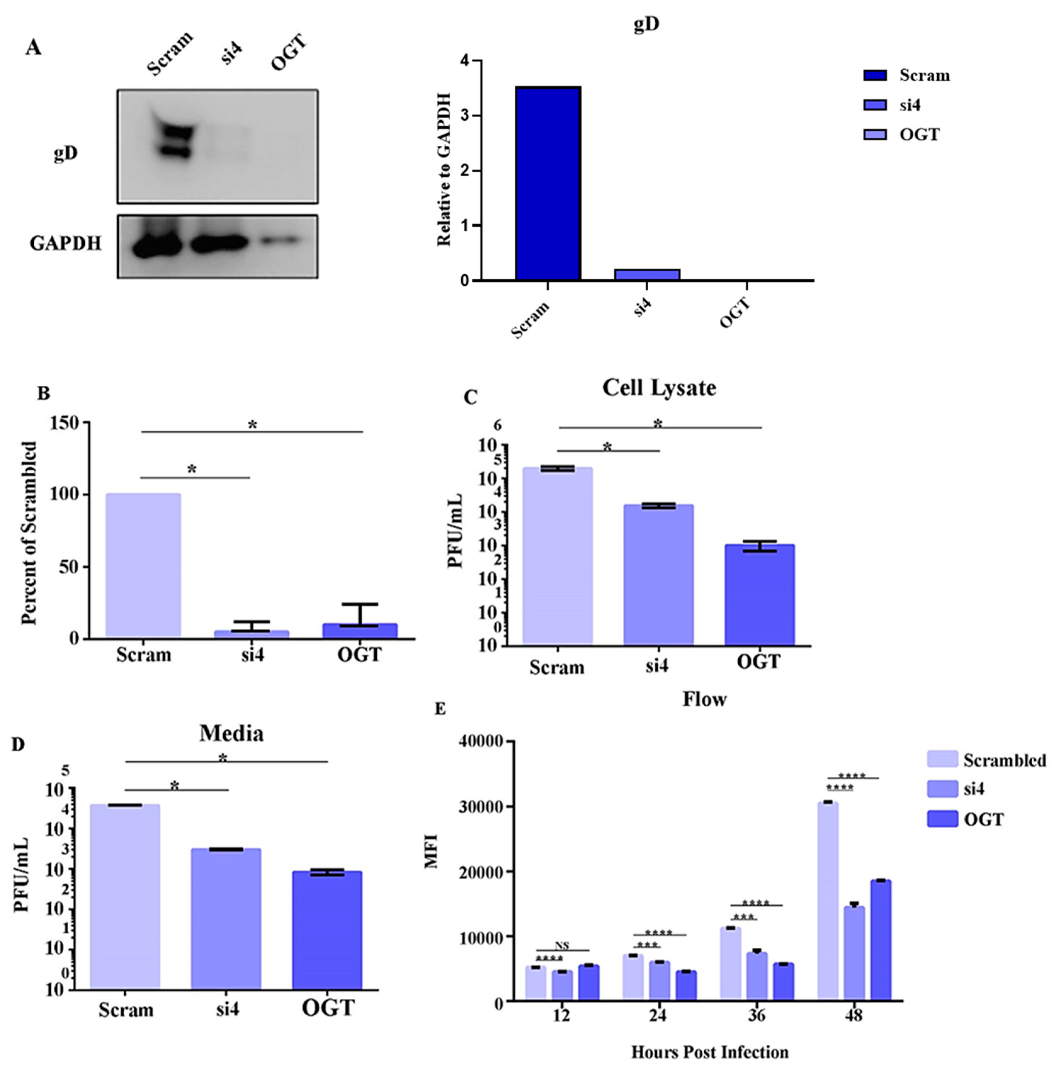 Viruses 16 01832 g003