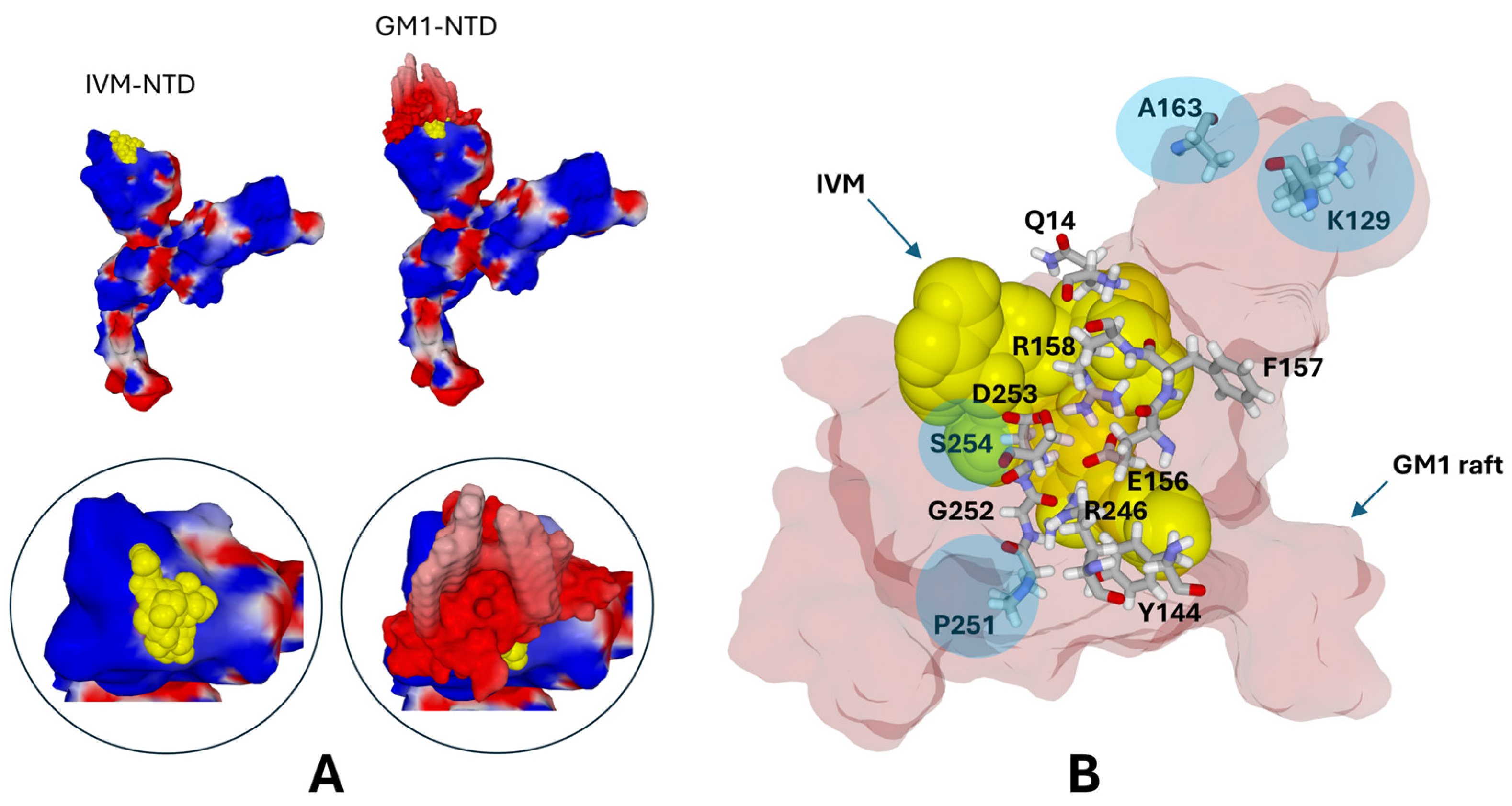 Viruses 16 01836 g004