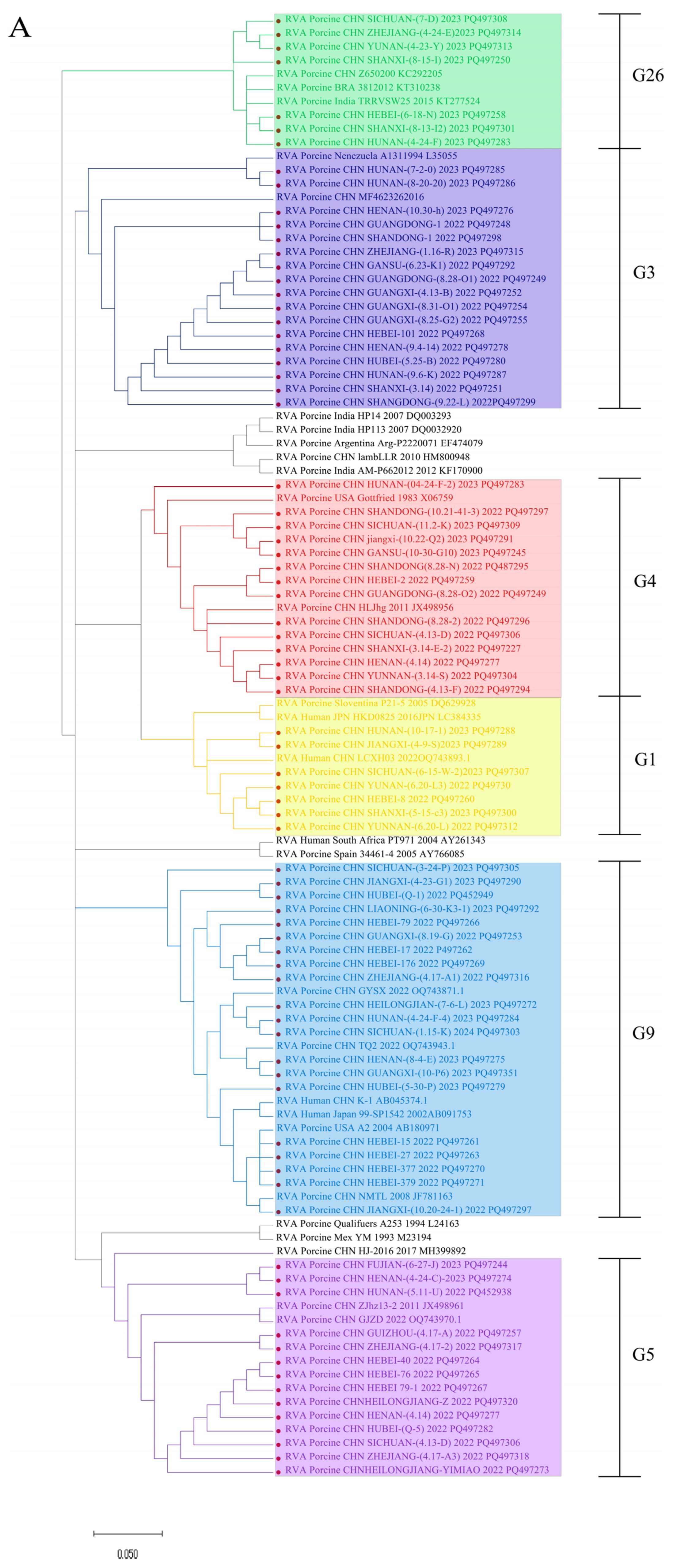 Viruses 16 01842 g003a