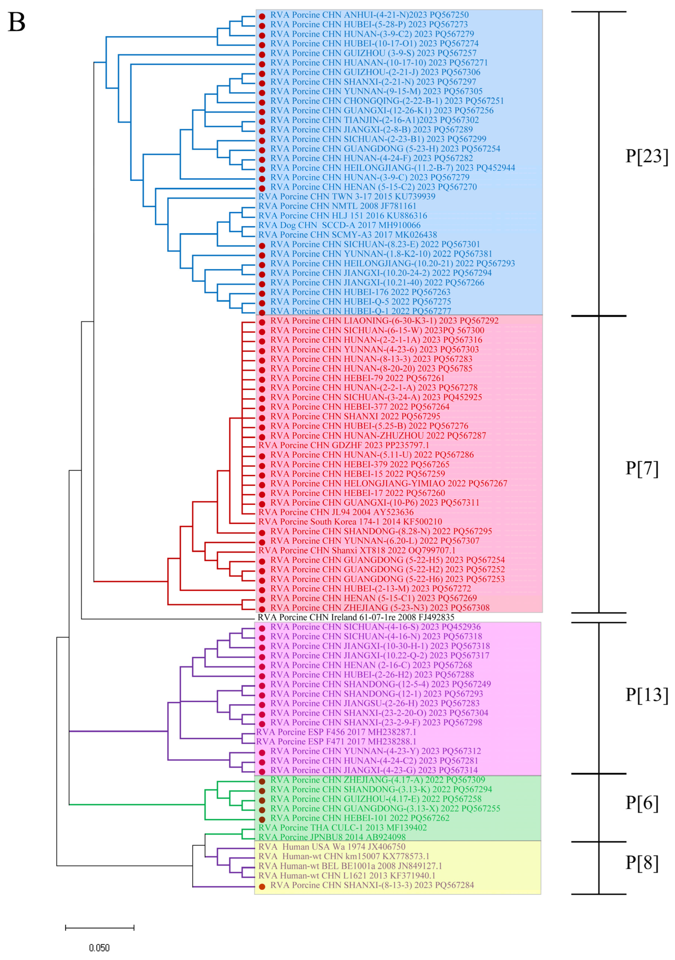 Viruses 16 01842 g003b