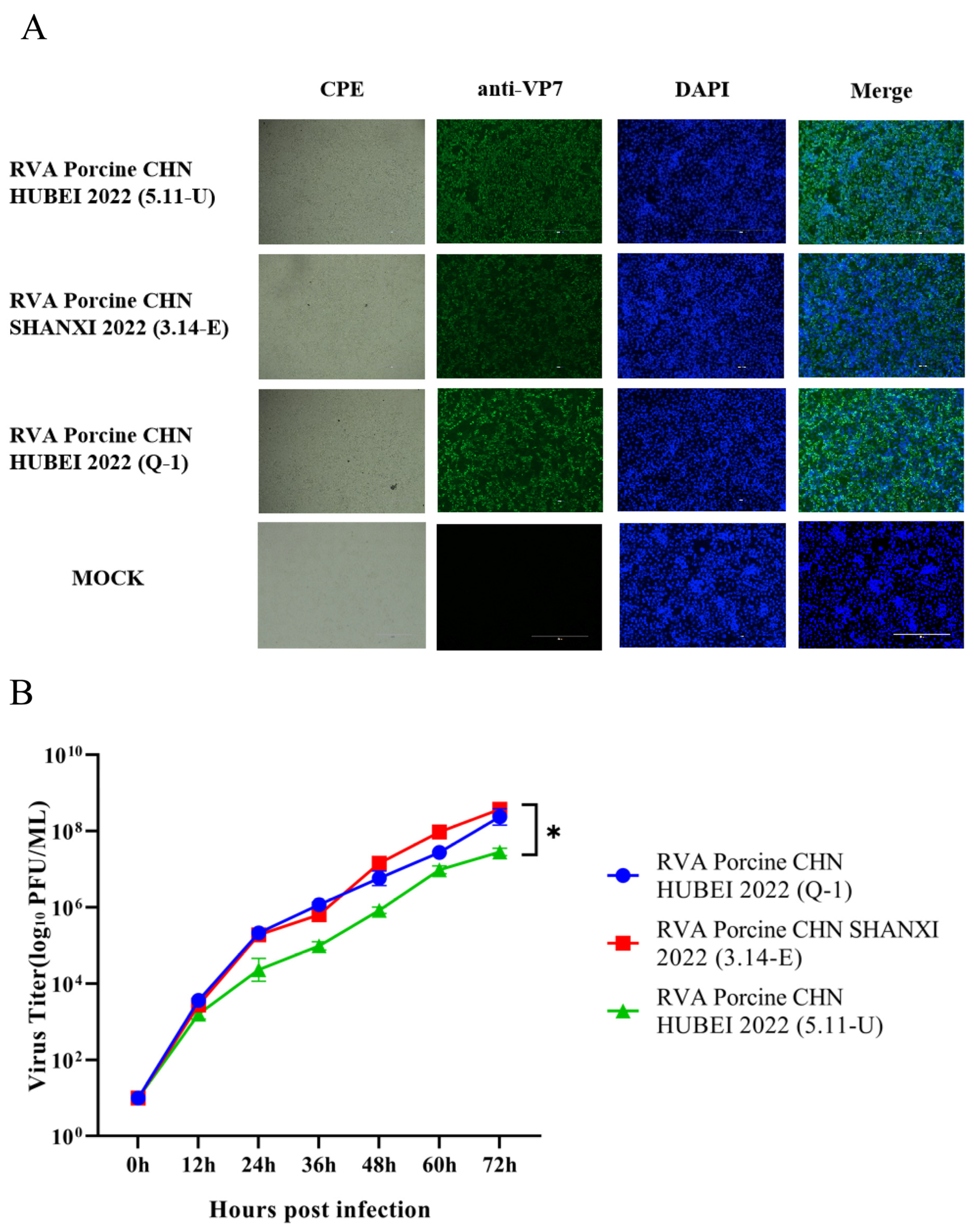 Viruses 16 01842 g004