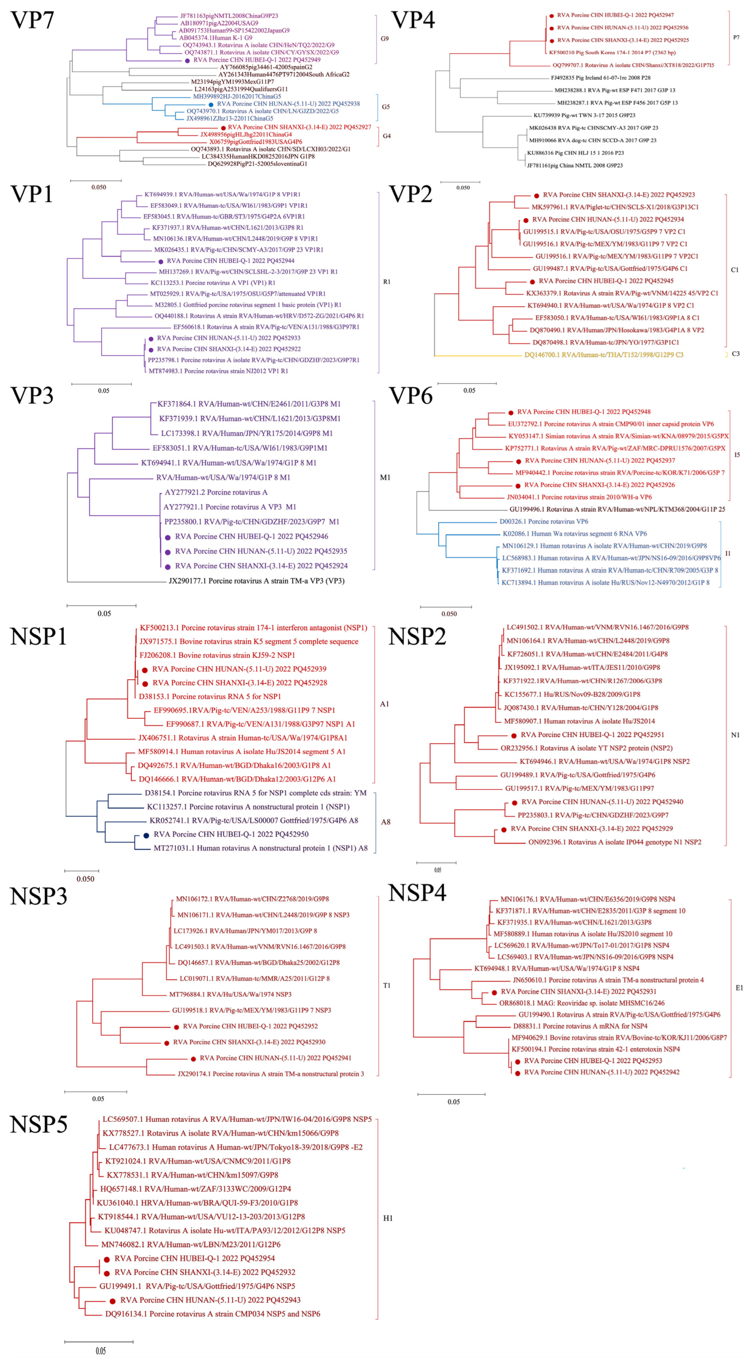 Viruses 16 01842 g005