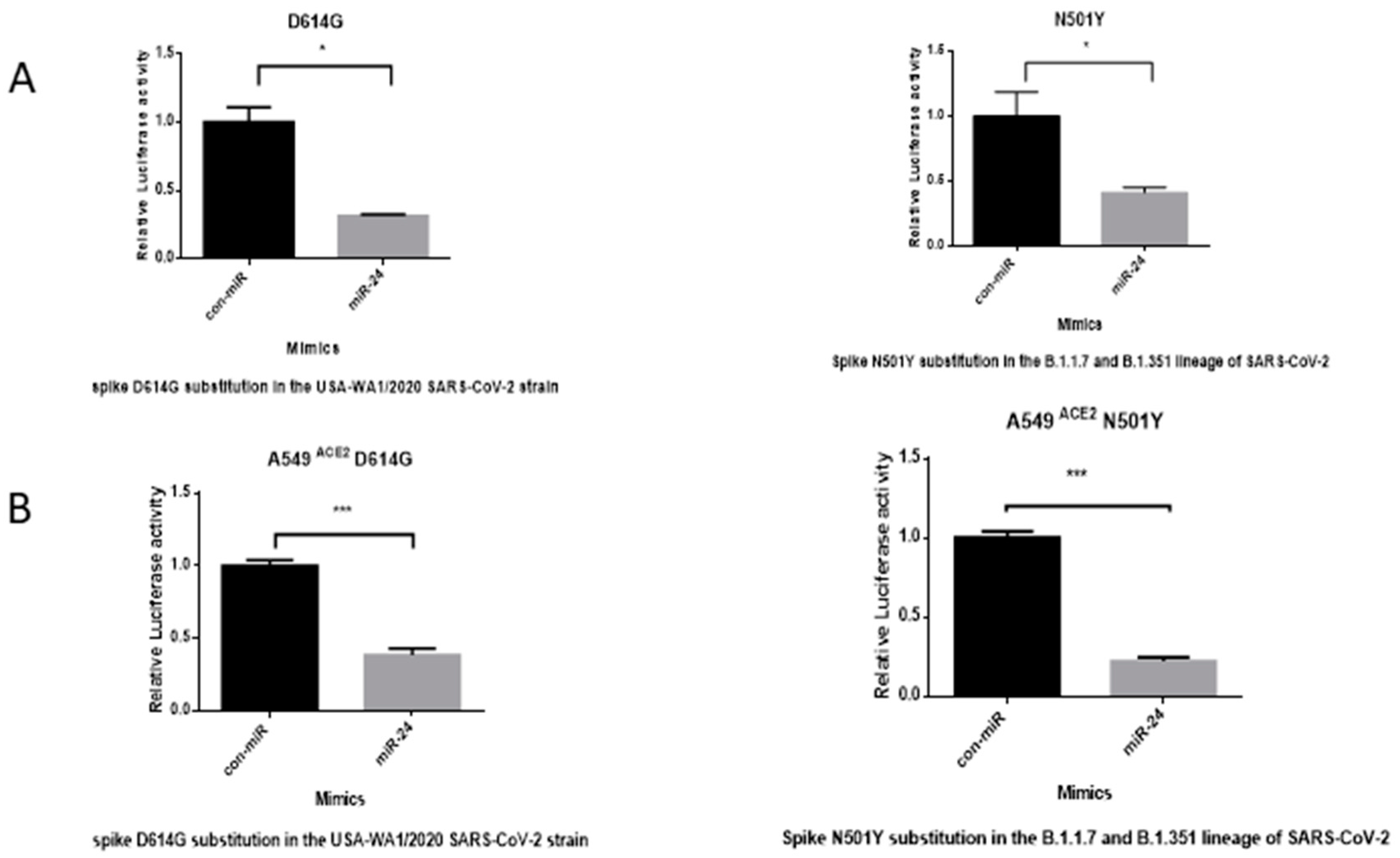Viruses 16 01844 g005