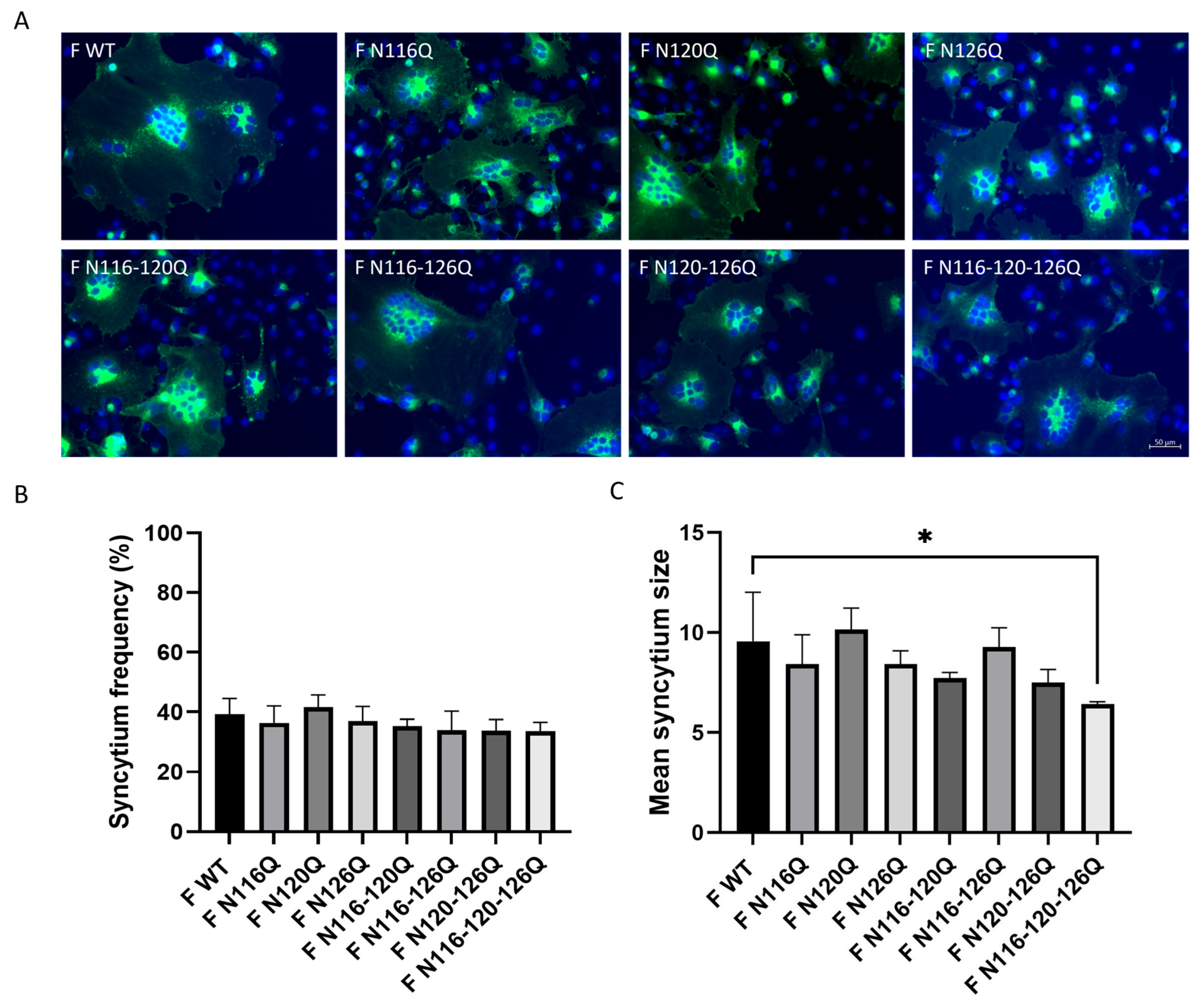 Viruses 16 01848 g002 Viruses 16 01848 g002