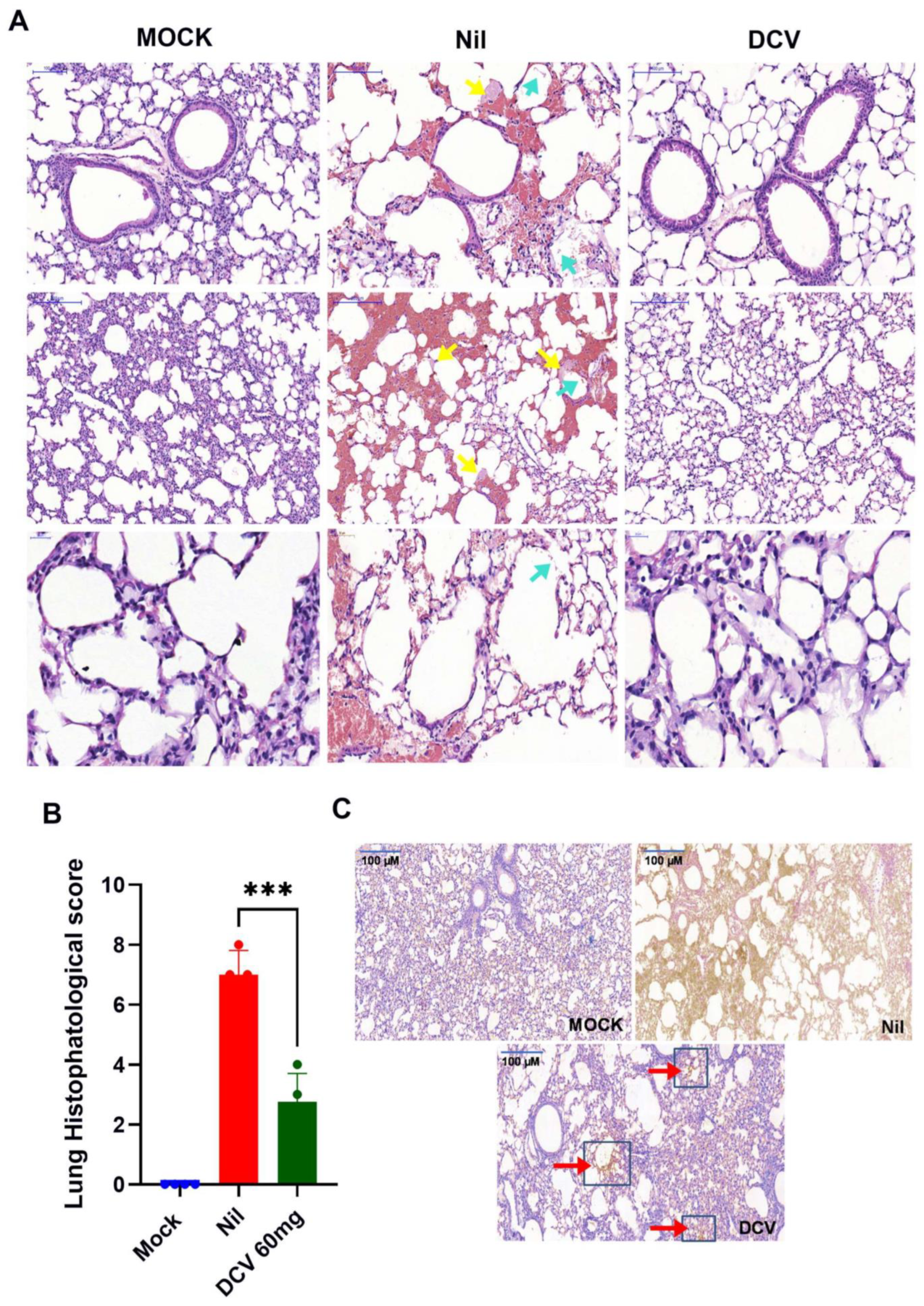 Viruses 16 01856 g004