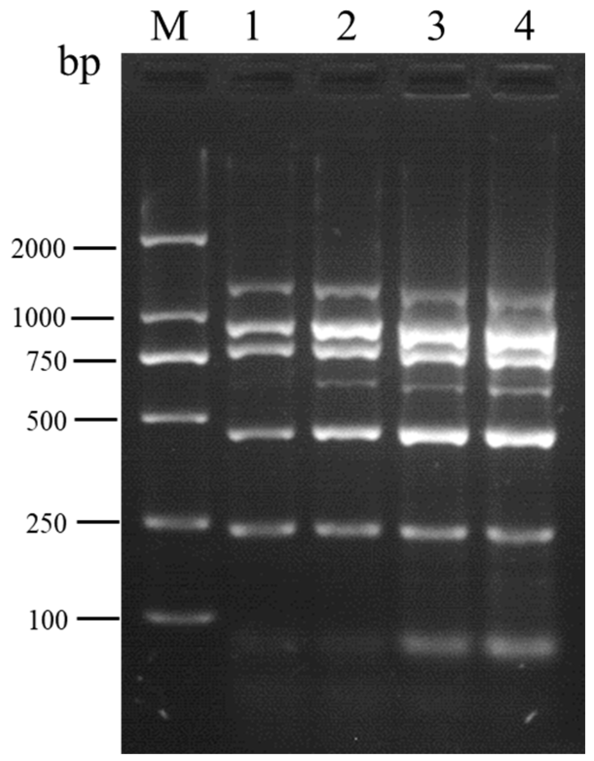 Development of a Multiplex RT-PCR Detection for Six Viruses