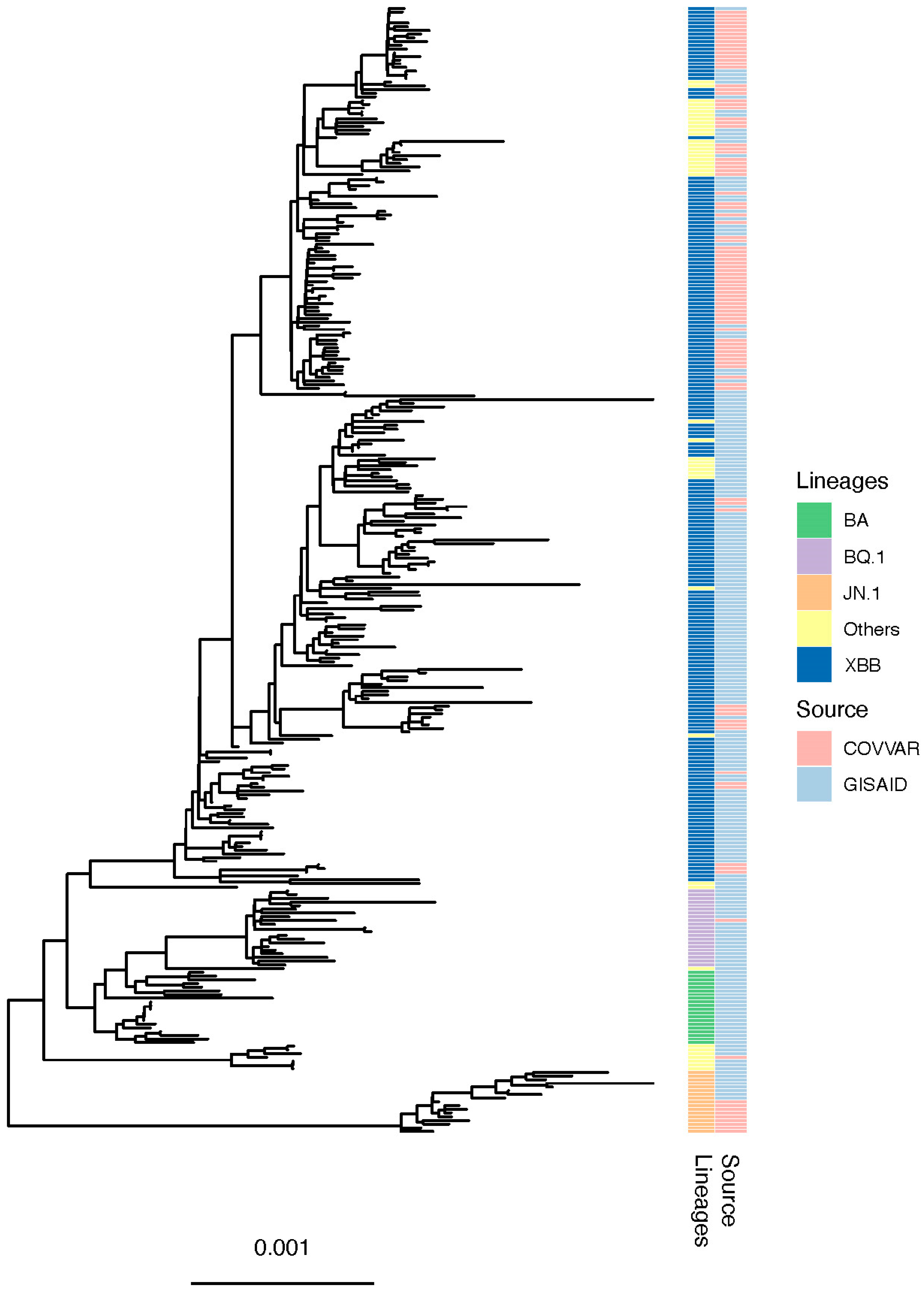 Viruses 16 01860 g004