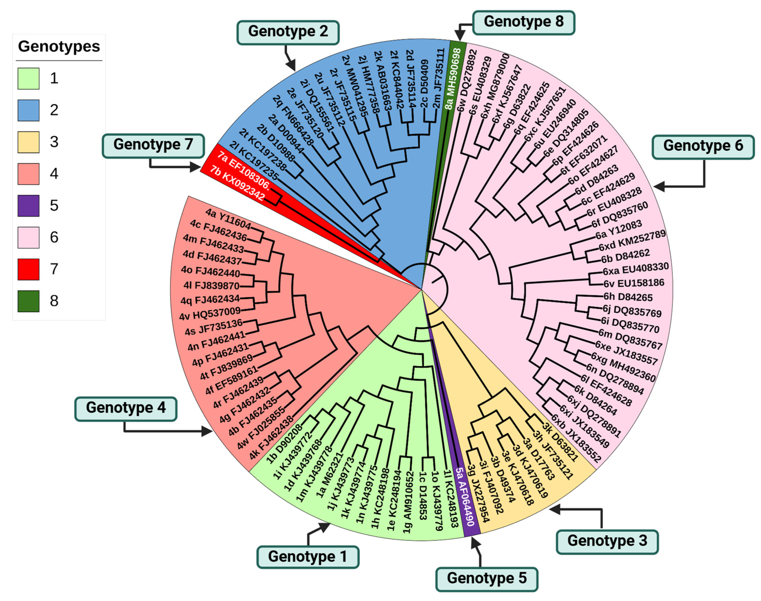 Viruses 16 01863 g002