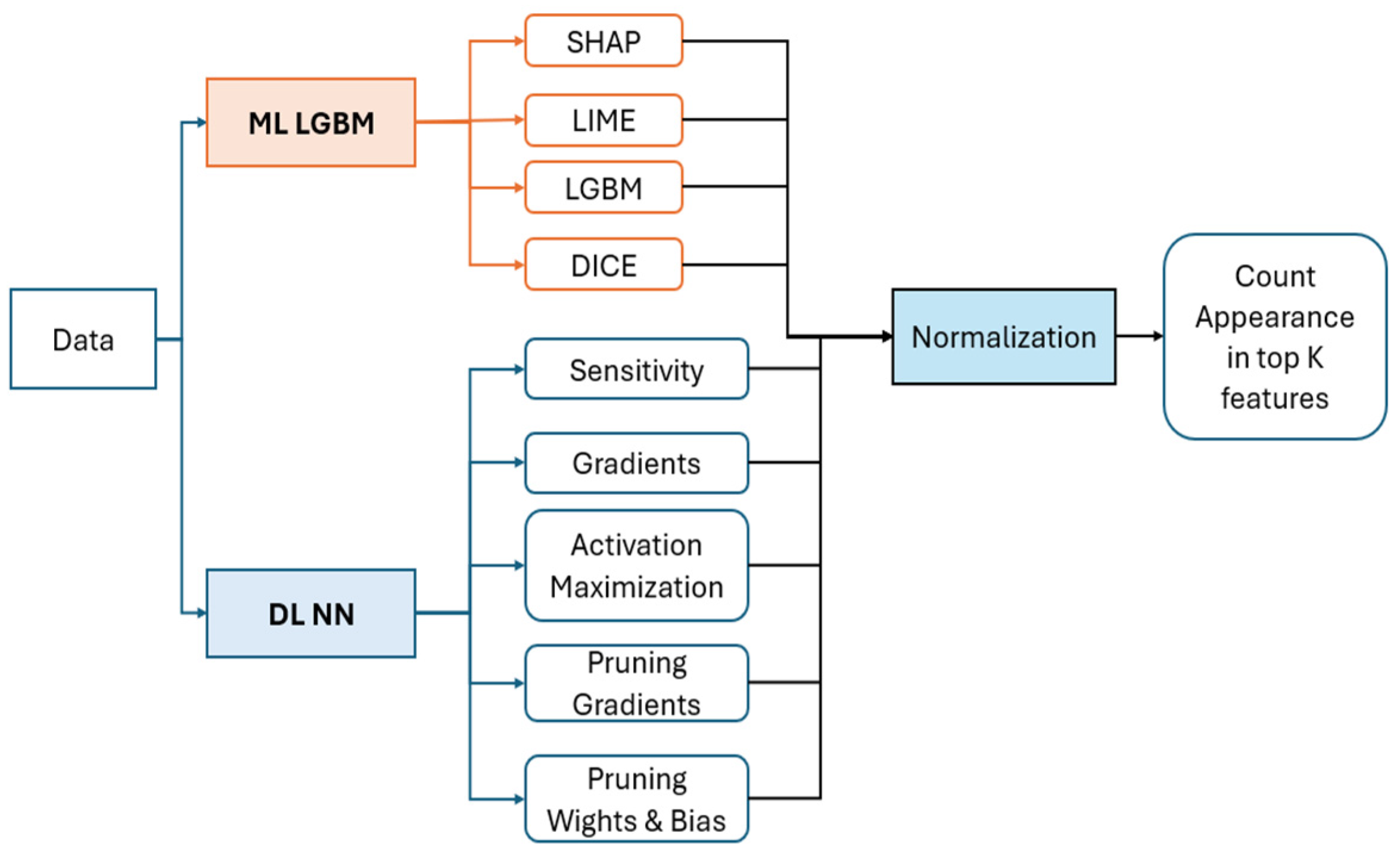 Viruses 16 01864 g006