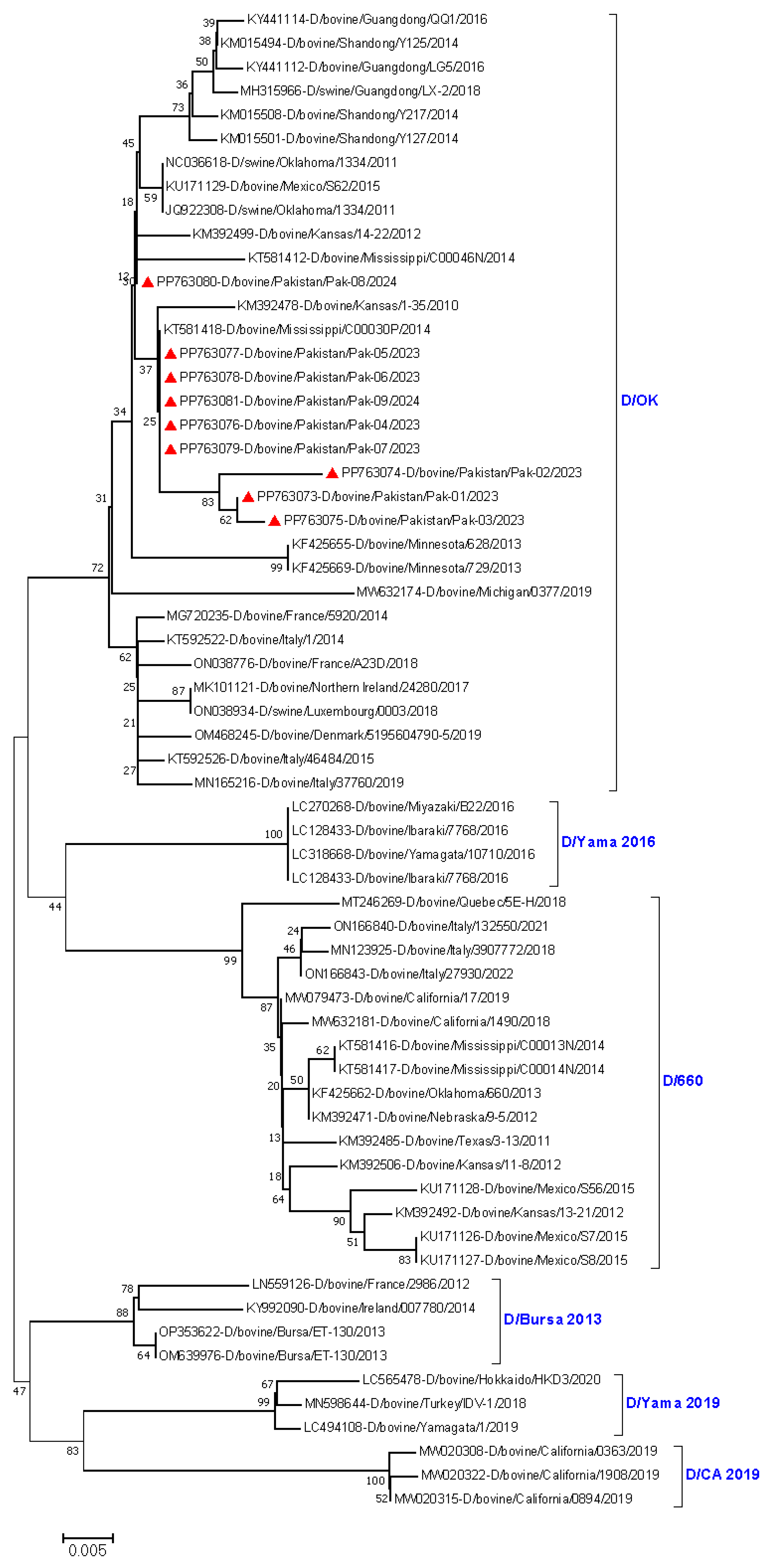 Viruses 16 01865 g002