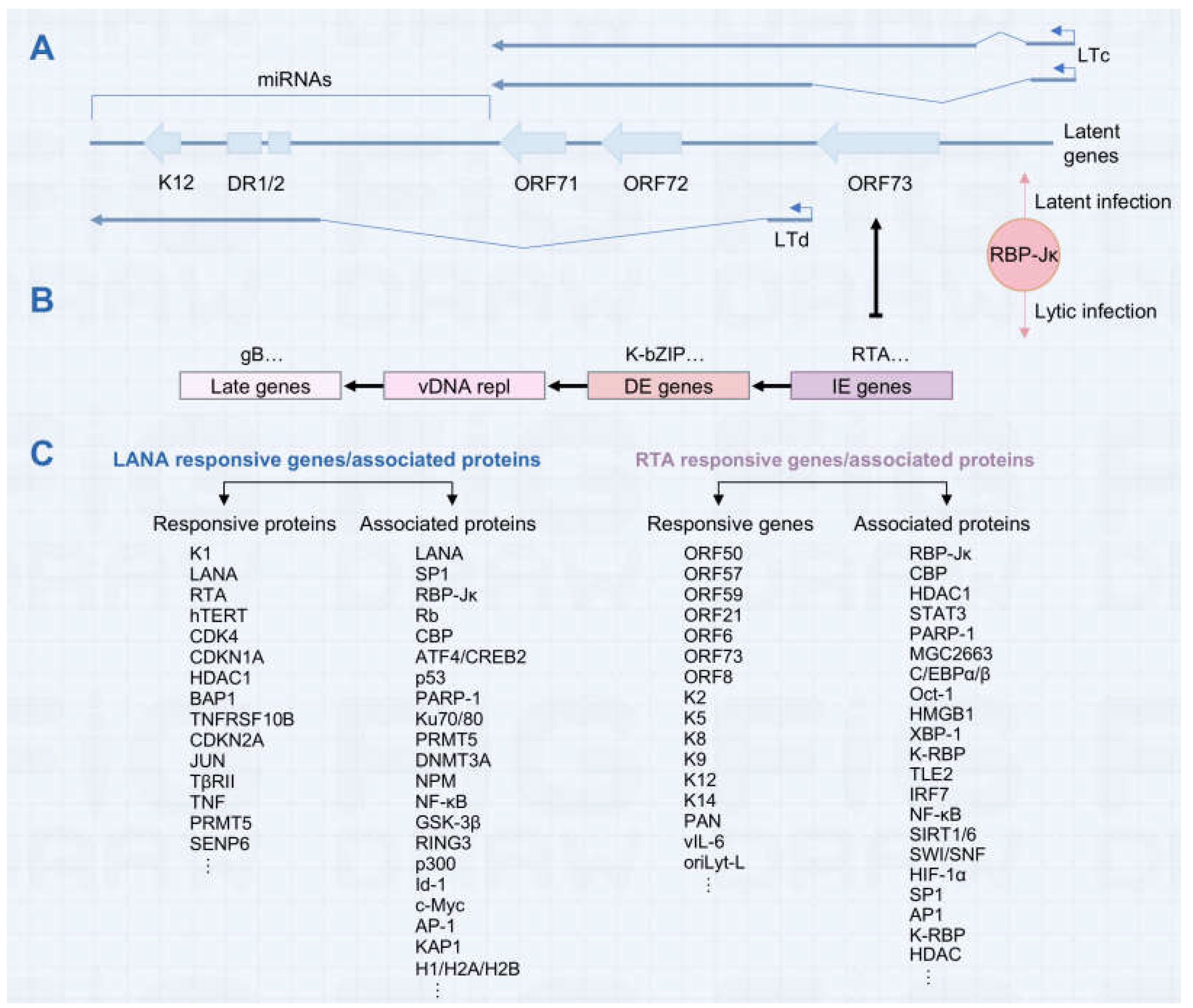 Viruses 16 01870 g002 Viruses 16 01870 g002