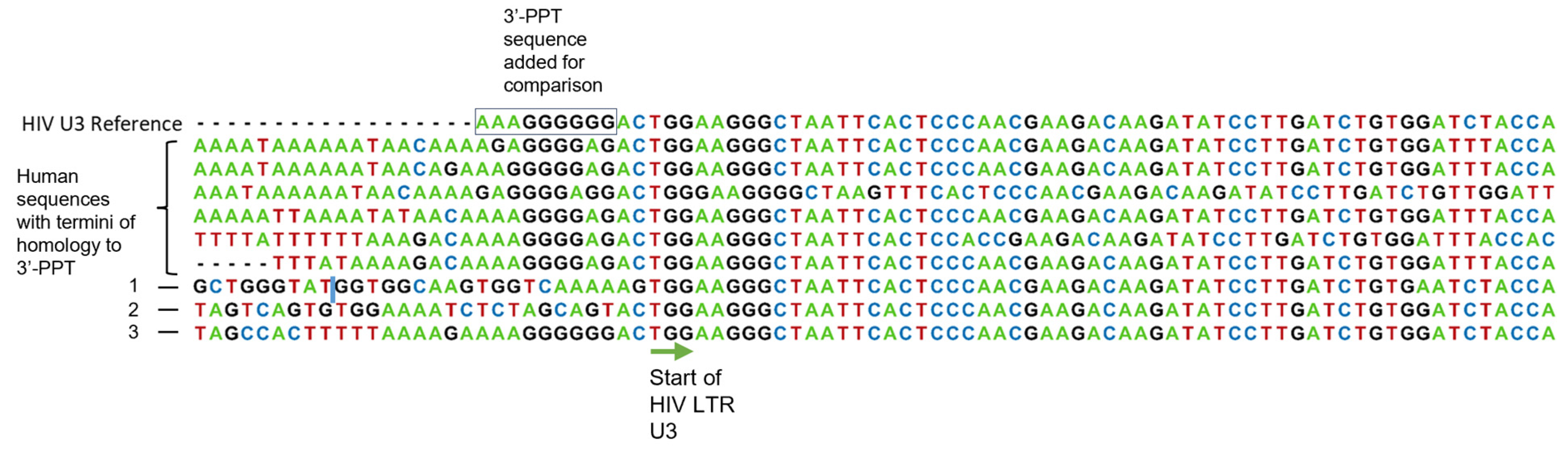 Viruses 16 01874 g004 Viruses 16 01874 g004