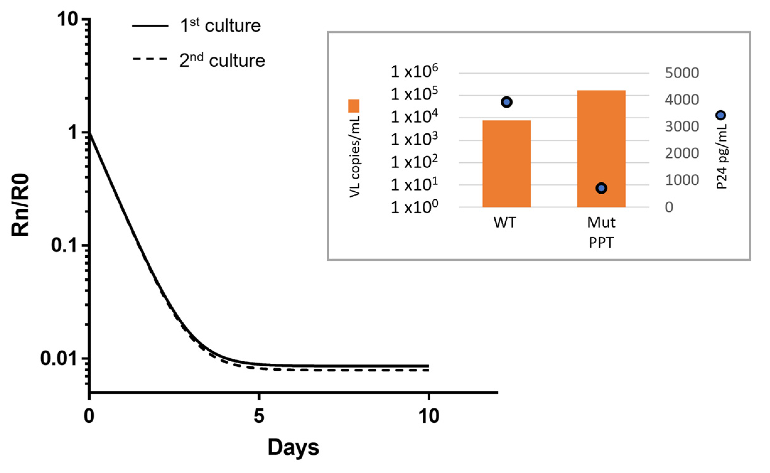 Viruses 16 01874 g005 Viruses 16 01874 g005