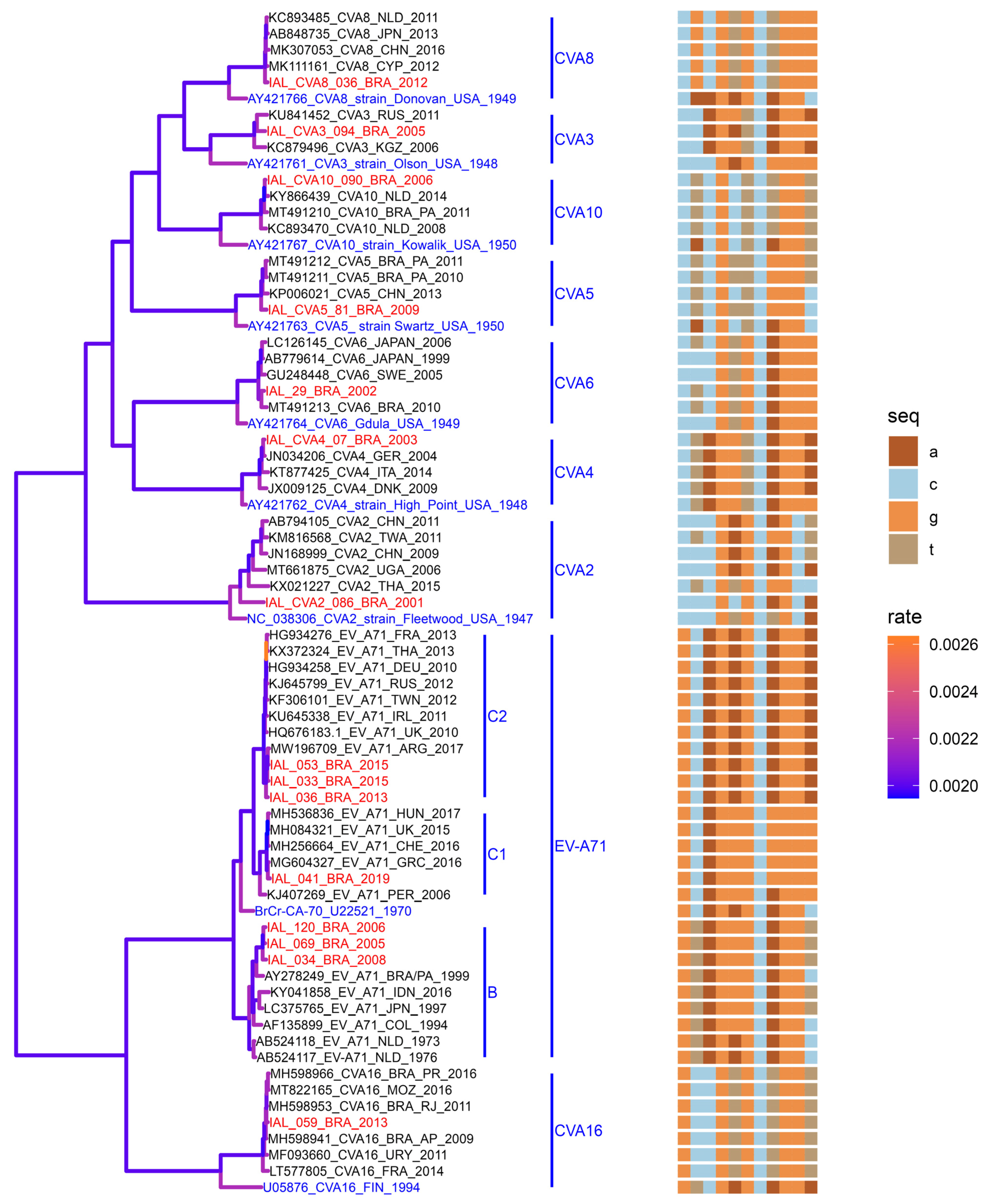 Viruses 16 01875 g003
