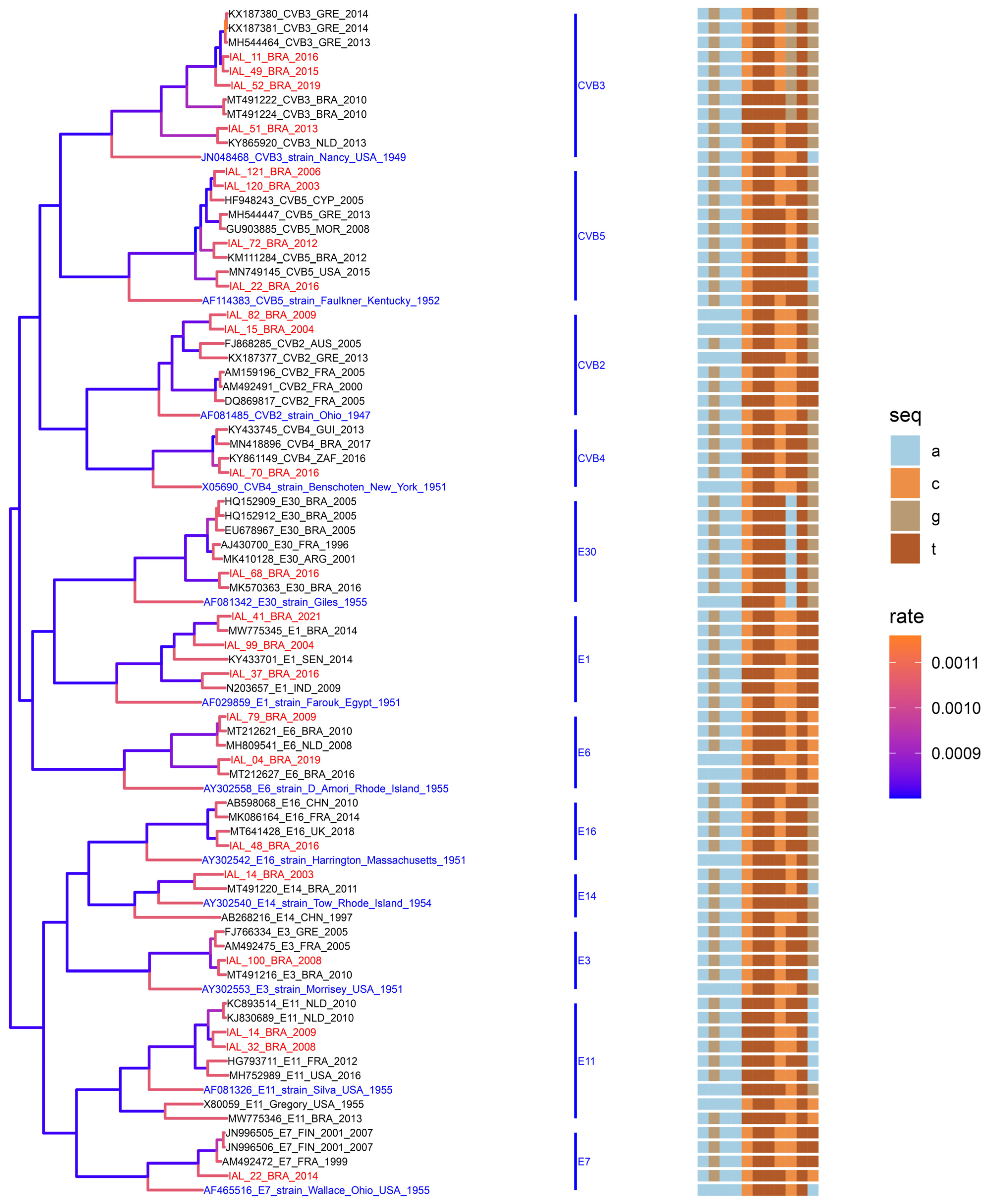 Viruses 16 01875 g004
