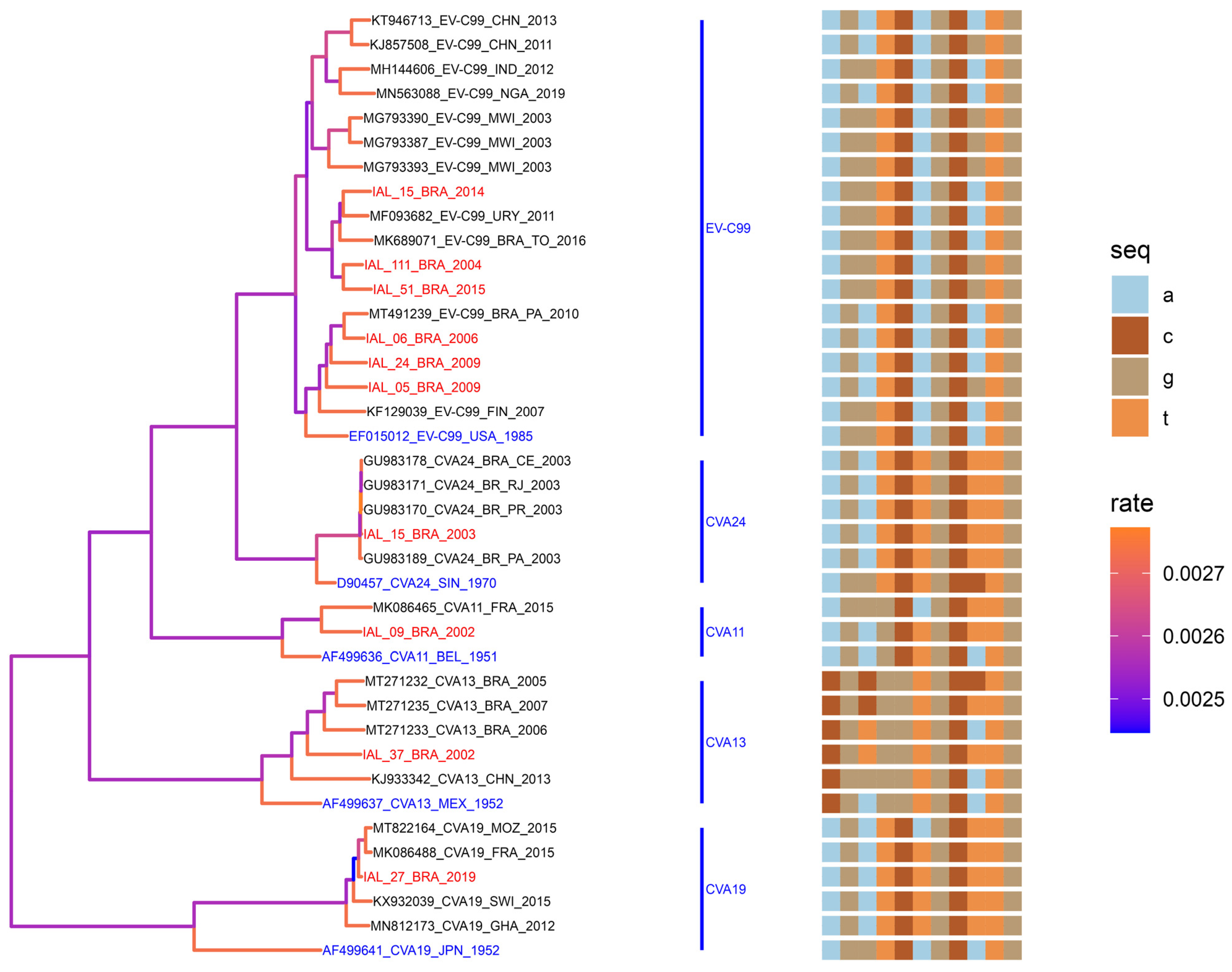 Viruses 16 01875 g005