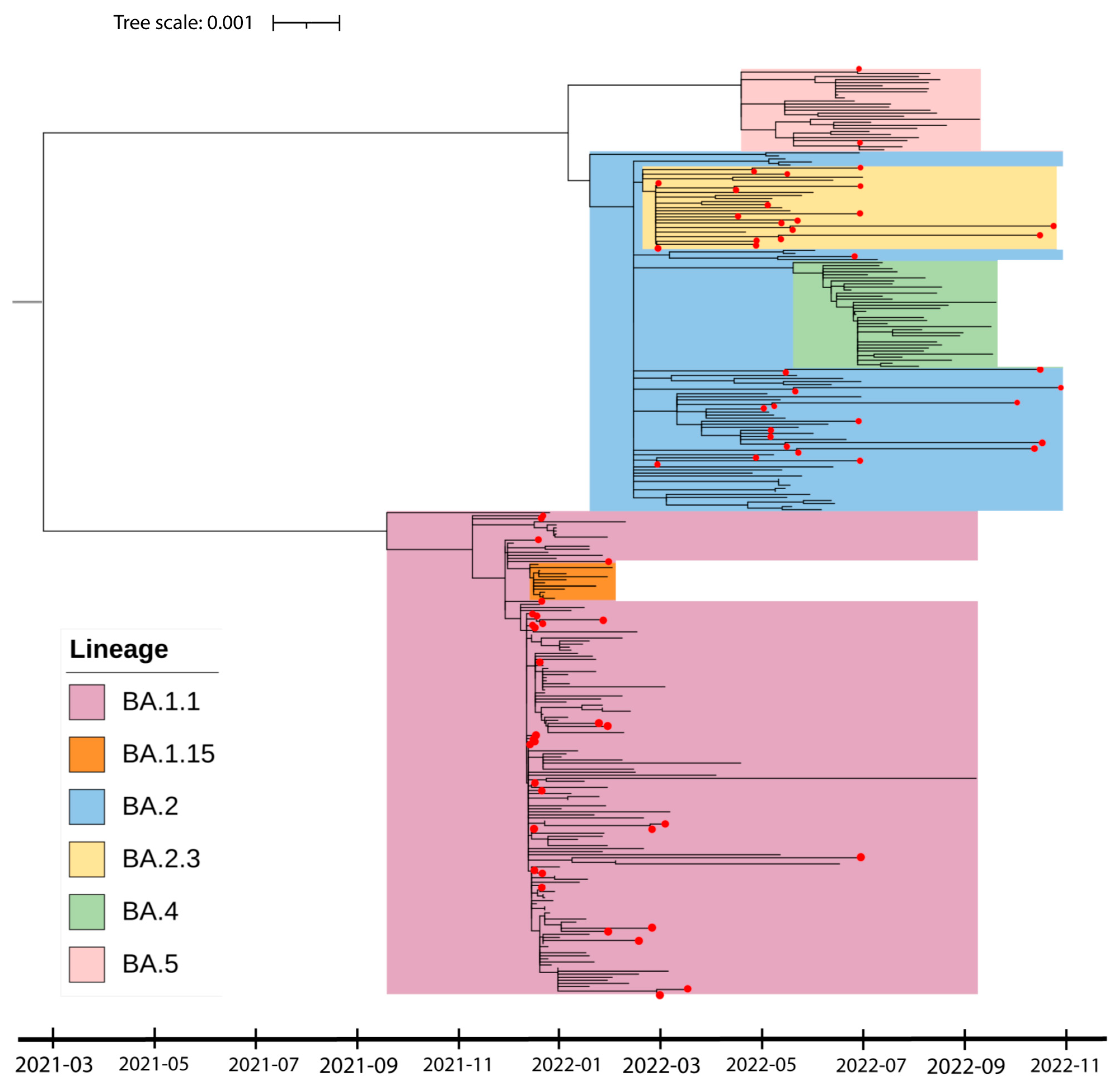 Viruses 16 01877 g002