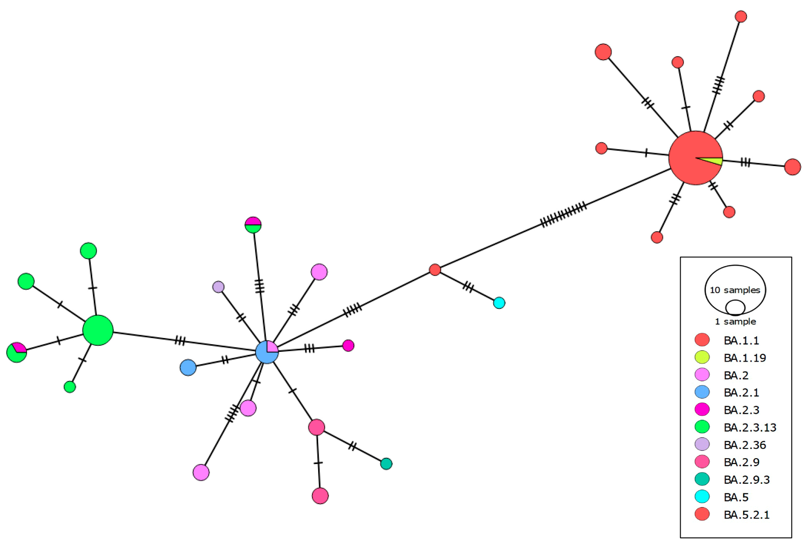 Viruses 16 01877 g003