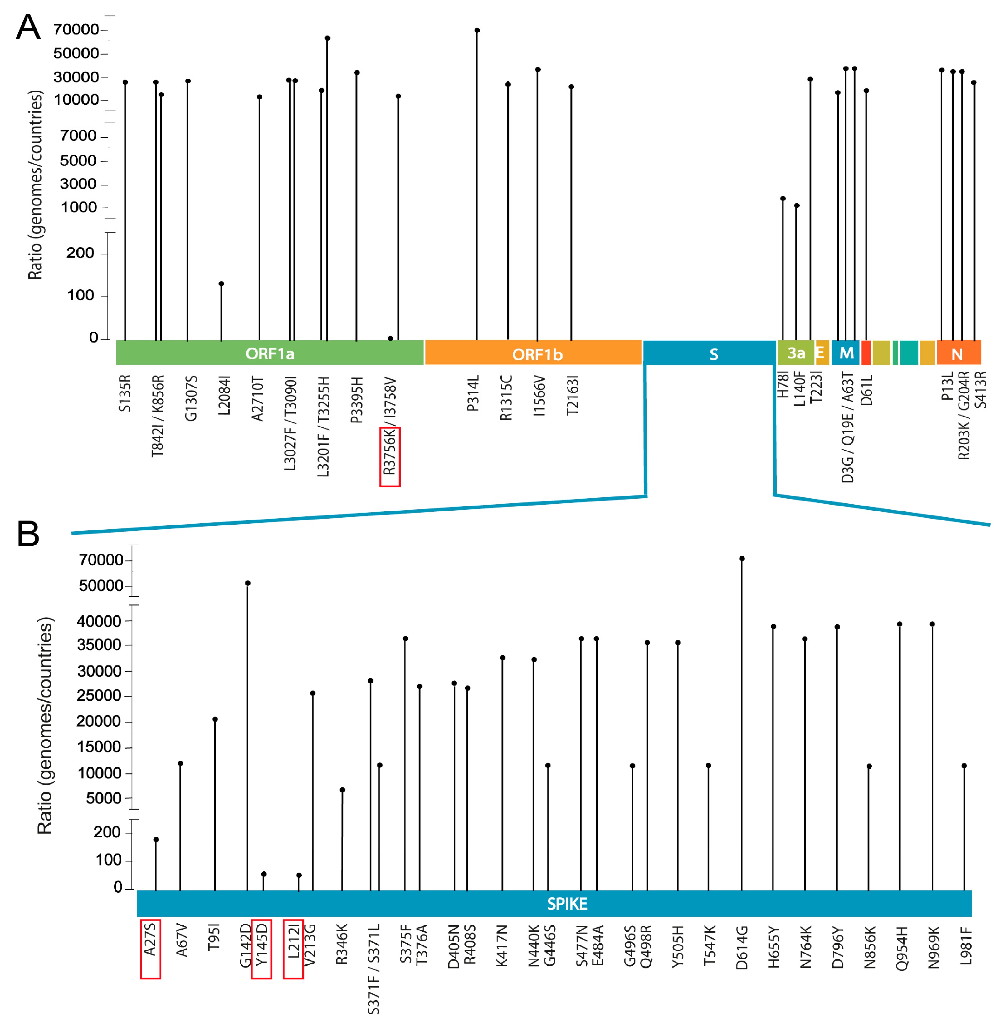 Viruses 16 01877 g004