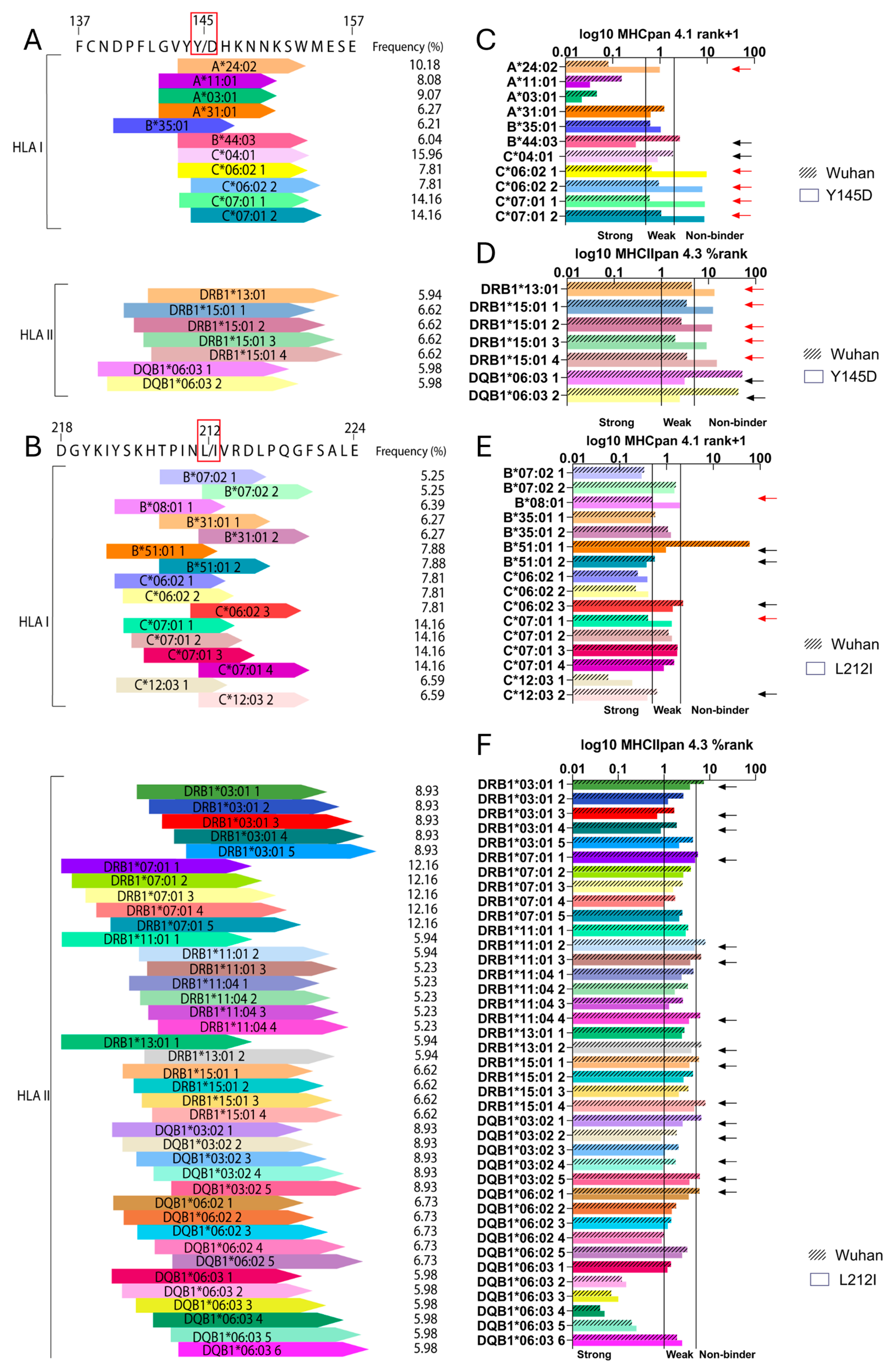 Viruses 16 01877 g005