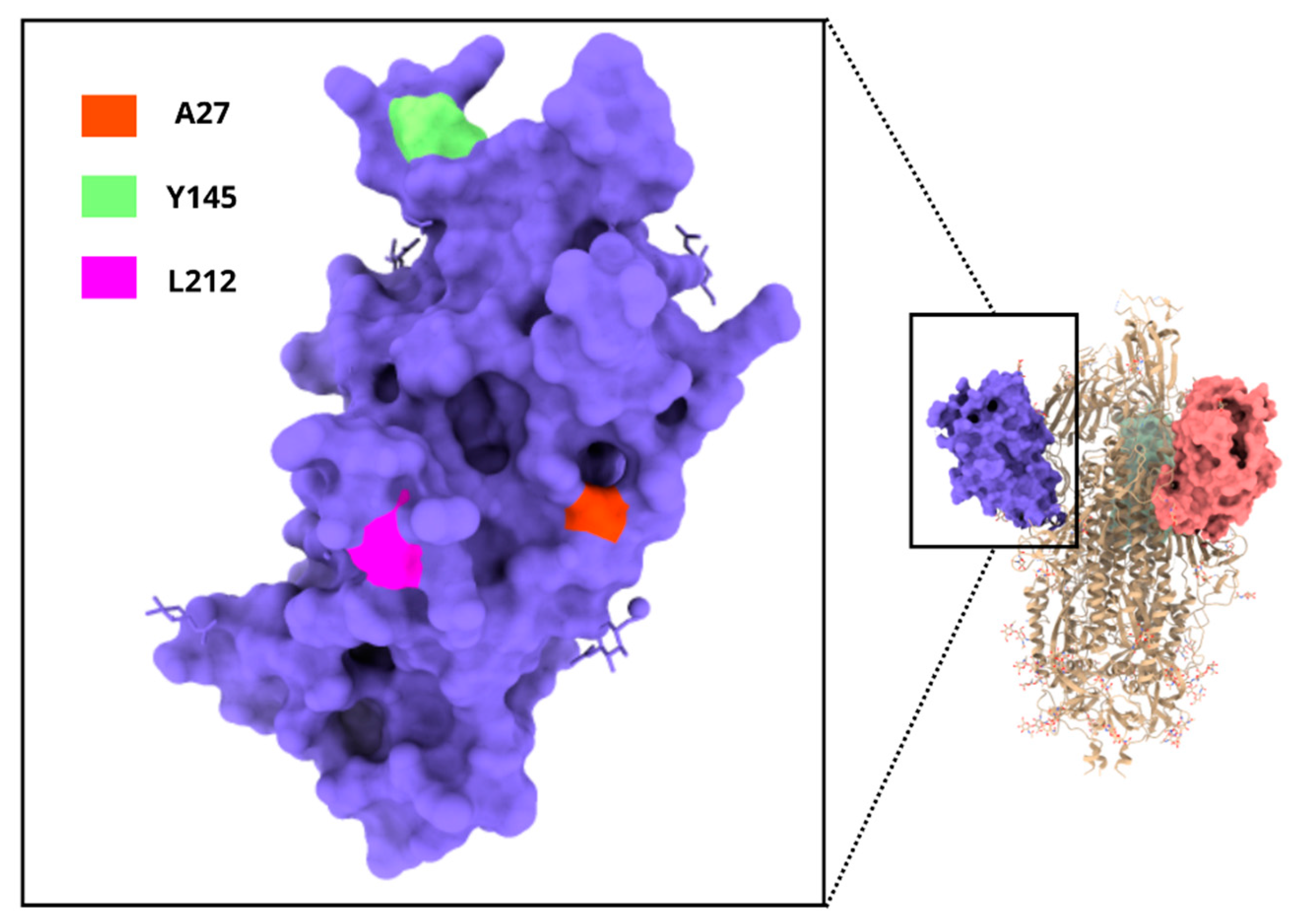 Viruses 16 01877 g006