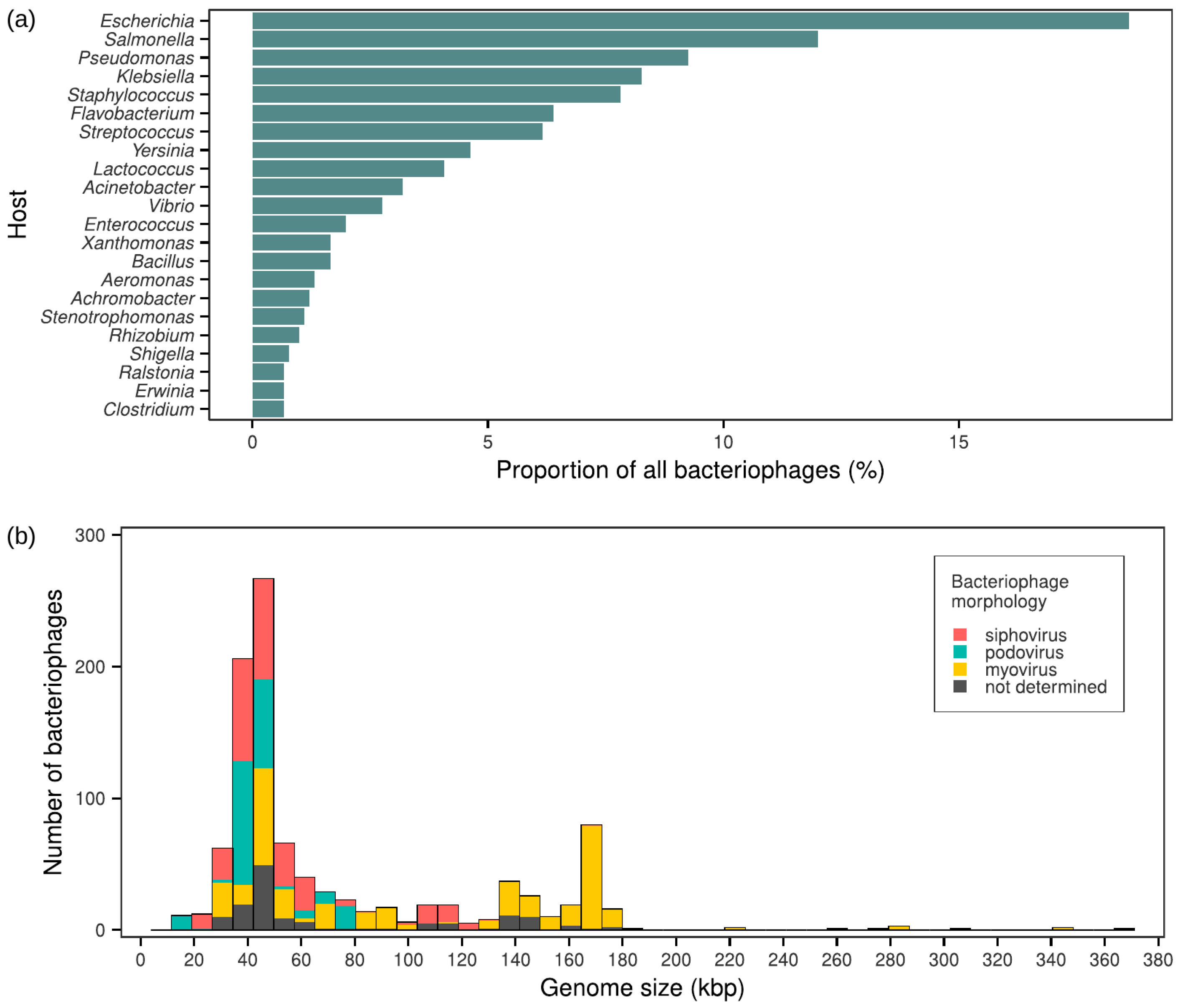 Viruses 16 01879 g002 Viruses 16 01879 g002