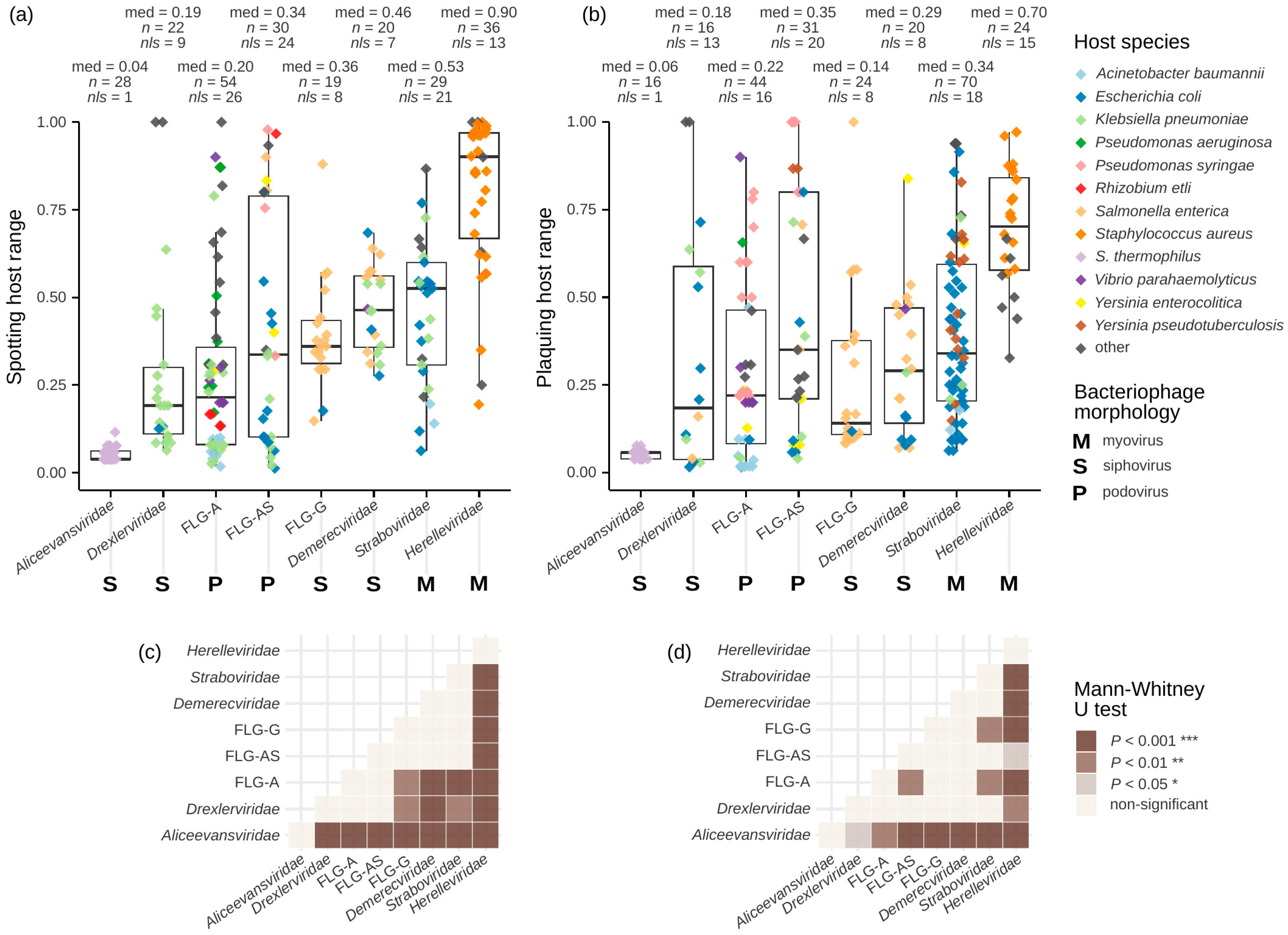 Viruses 16 01879 g005 Viruses 16 01879 g005