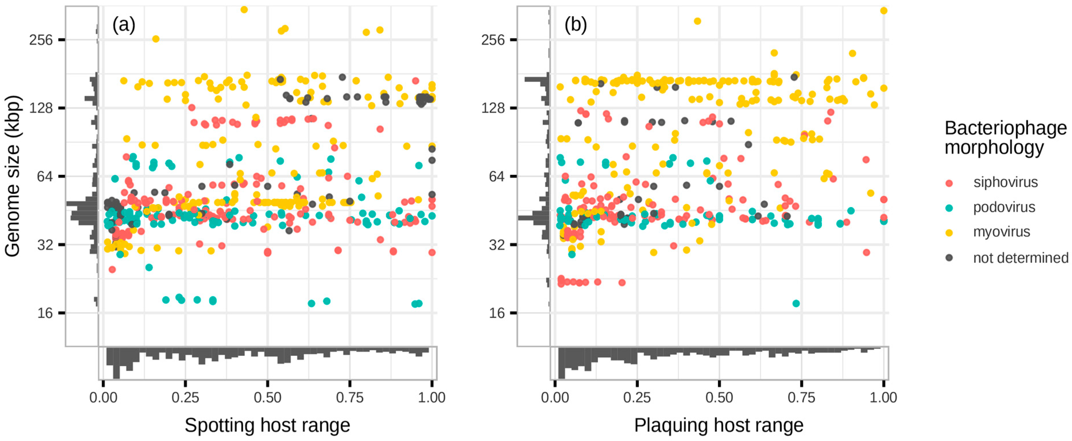Viruses 16 01879 g008 Viruses 16 01879 g008