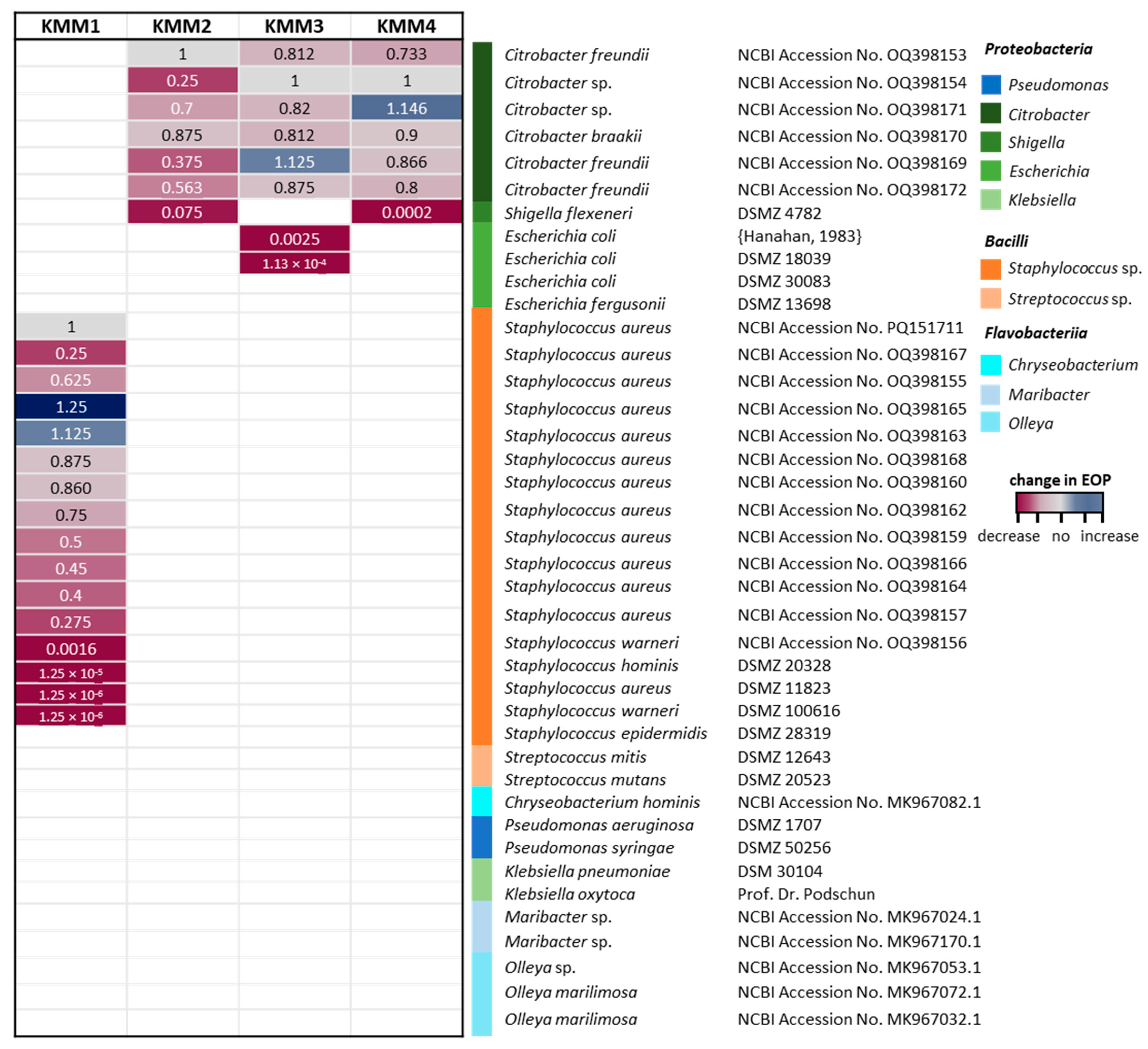 Viruses 16 01880 g003