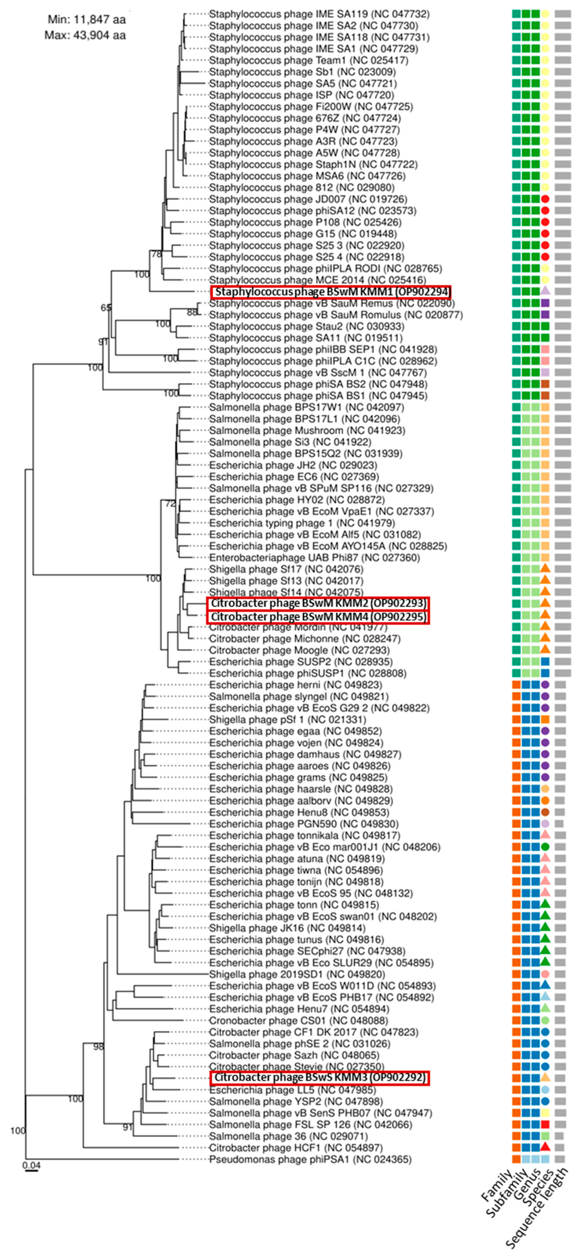 Viruses 16 01880 g004