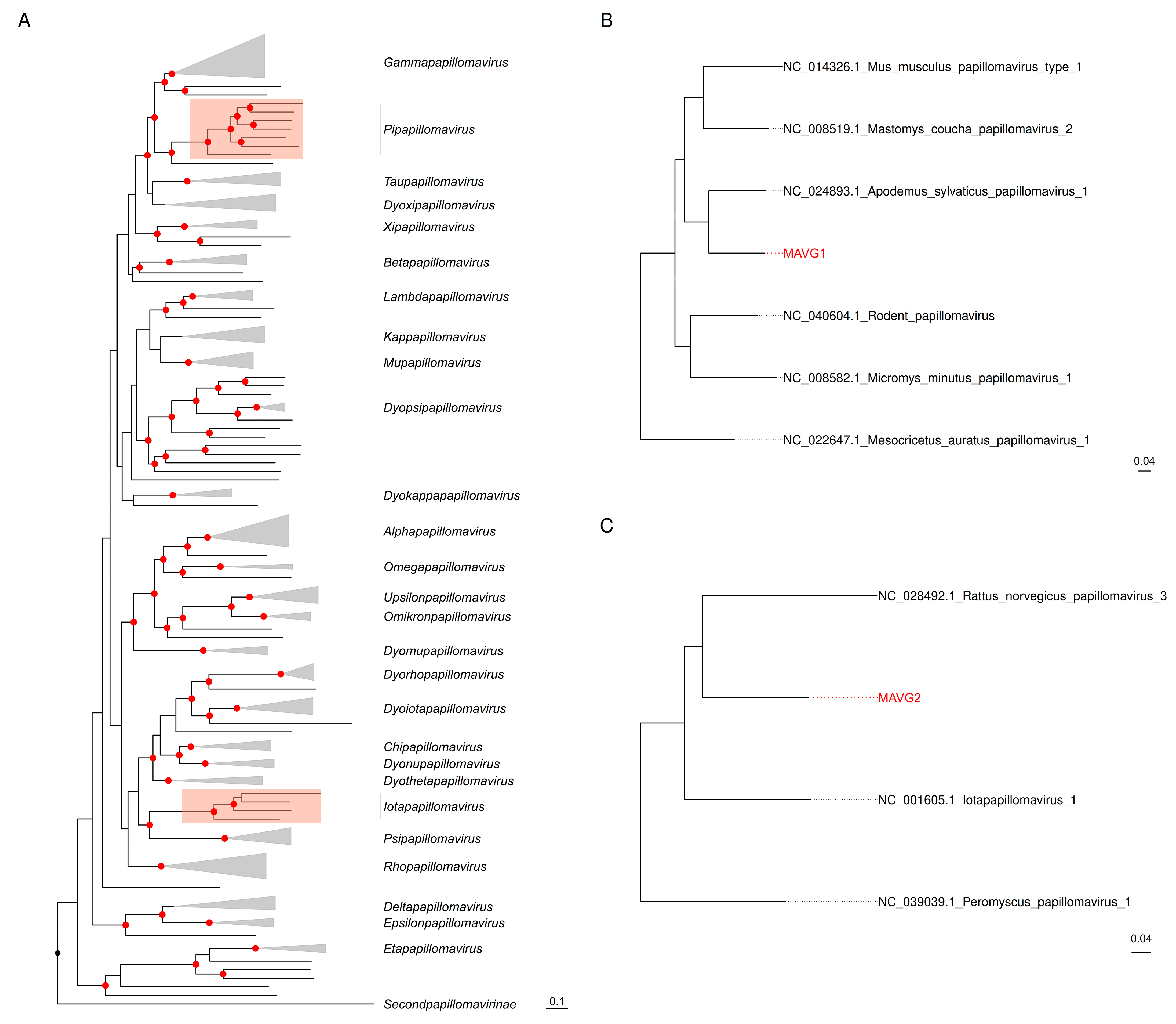 Viruses 16 01885 g003