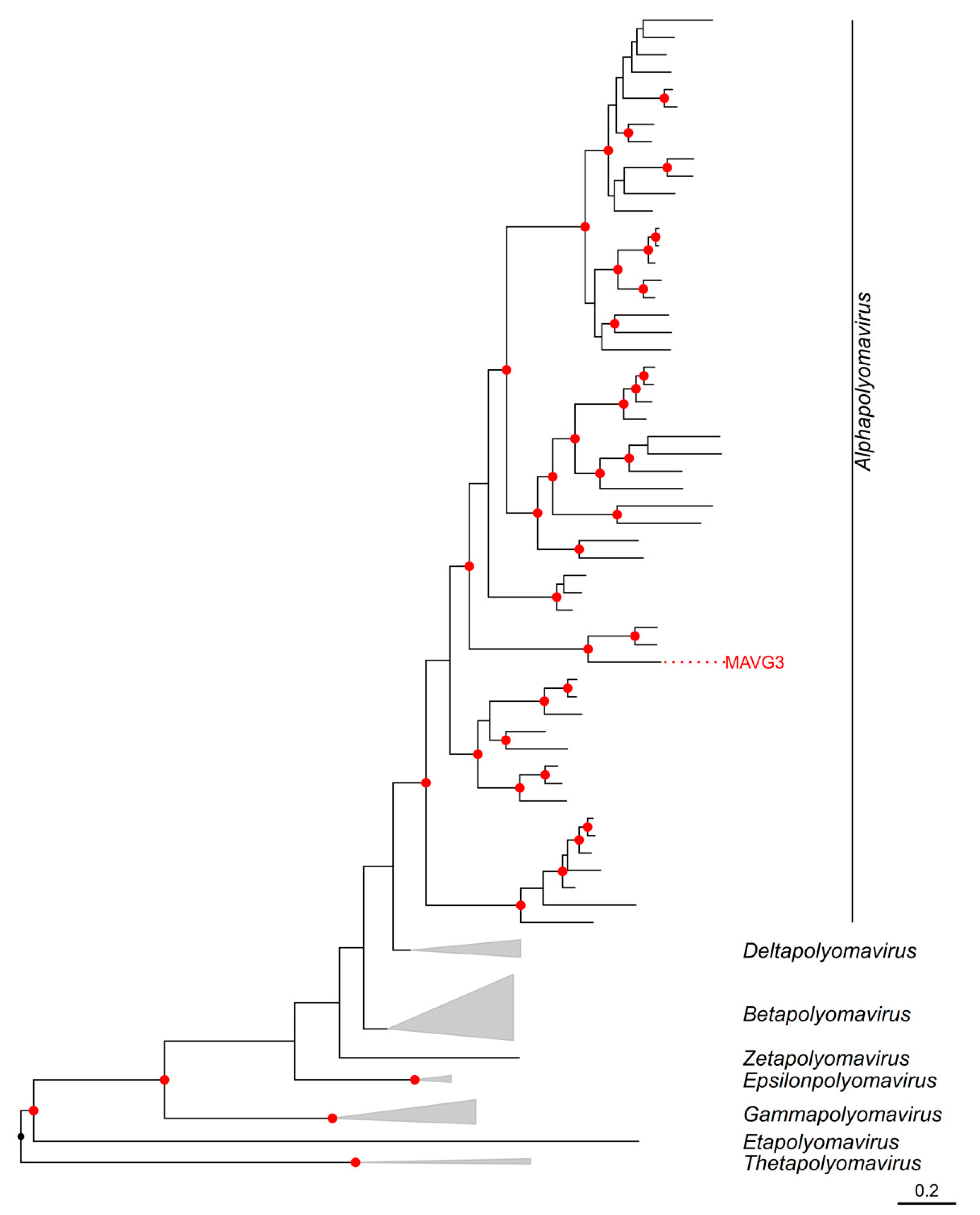 Viruses 16 01885 g004