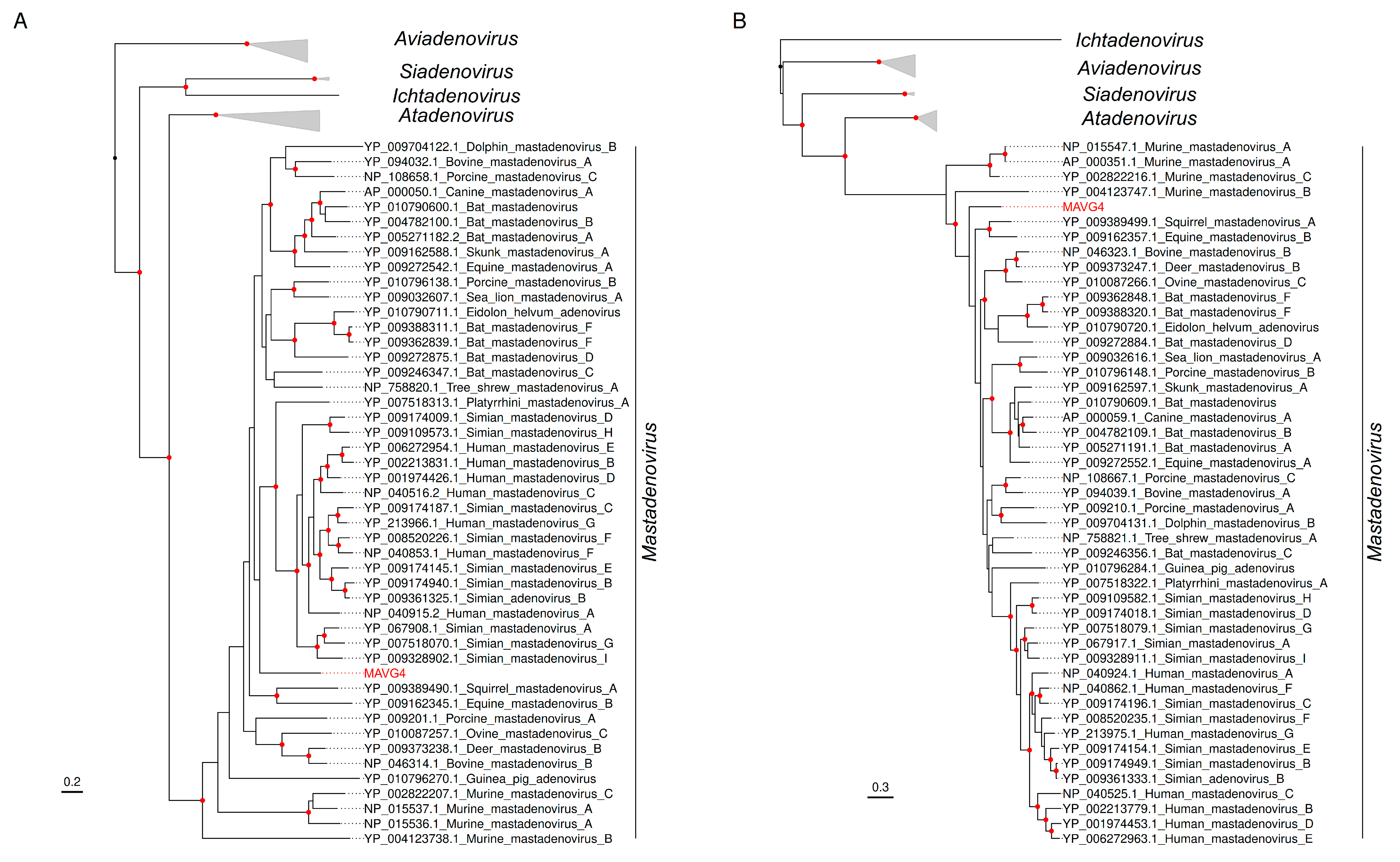 Viruses 16 01885 g005
