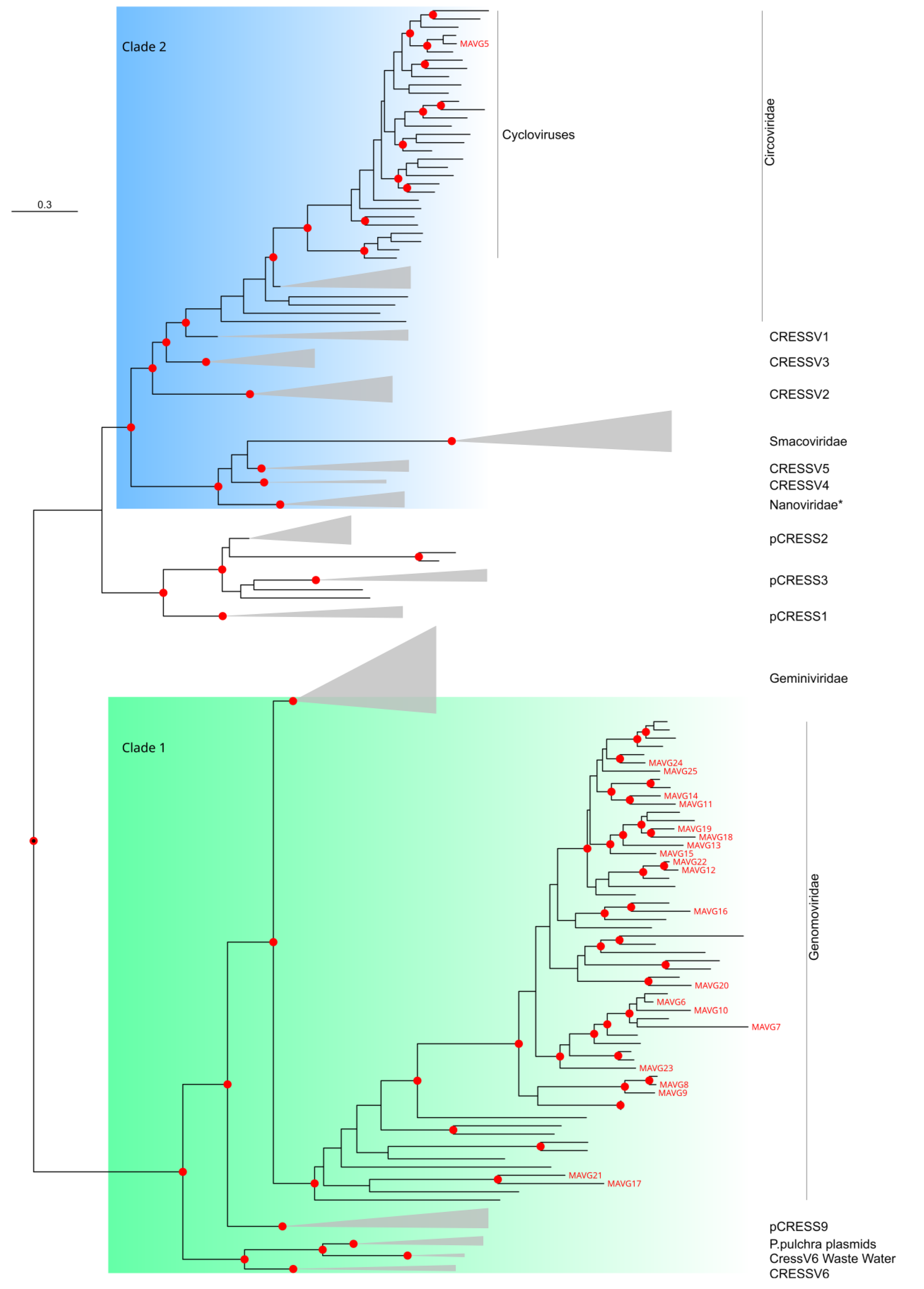 Viruses 16 01885 g006