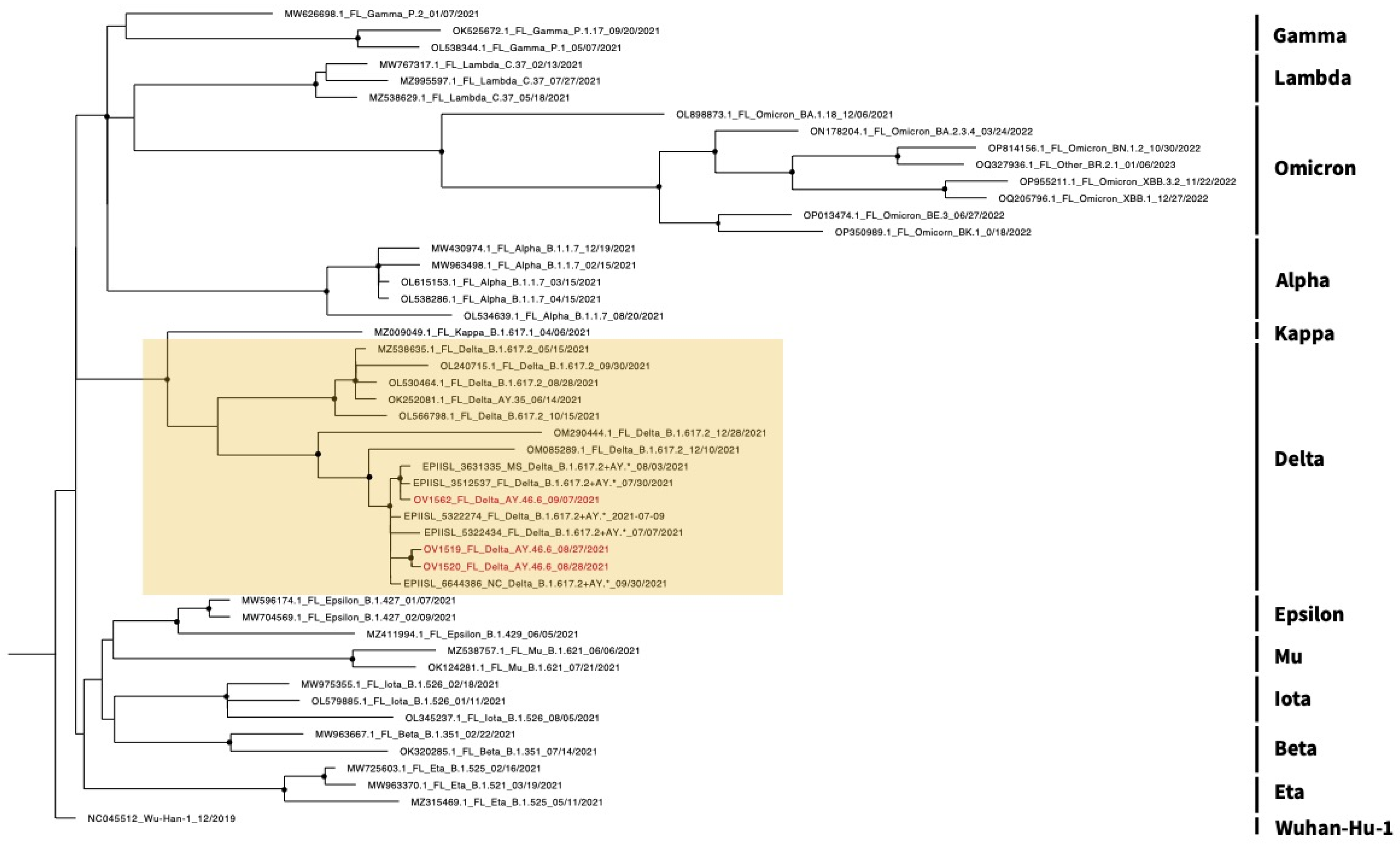 Viruses 16 01886 g004