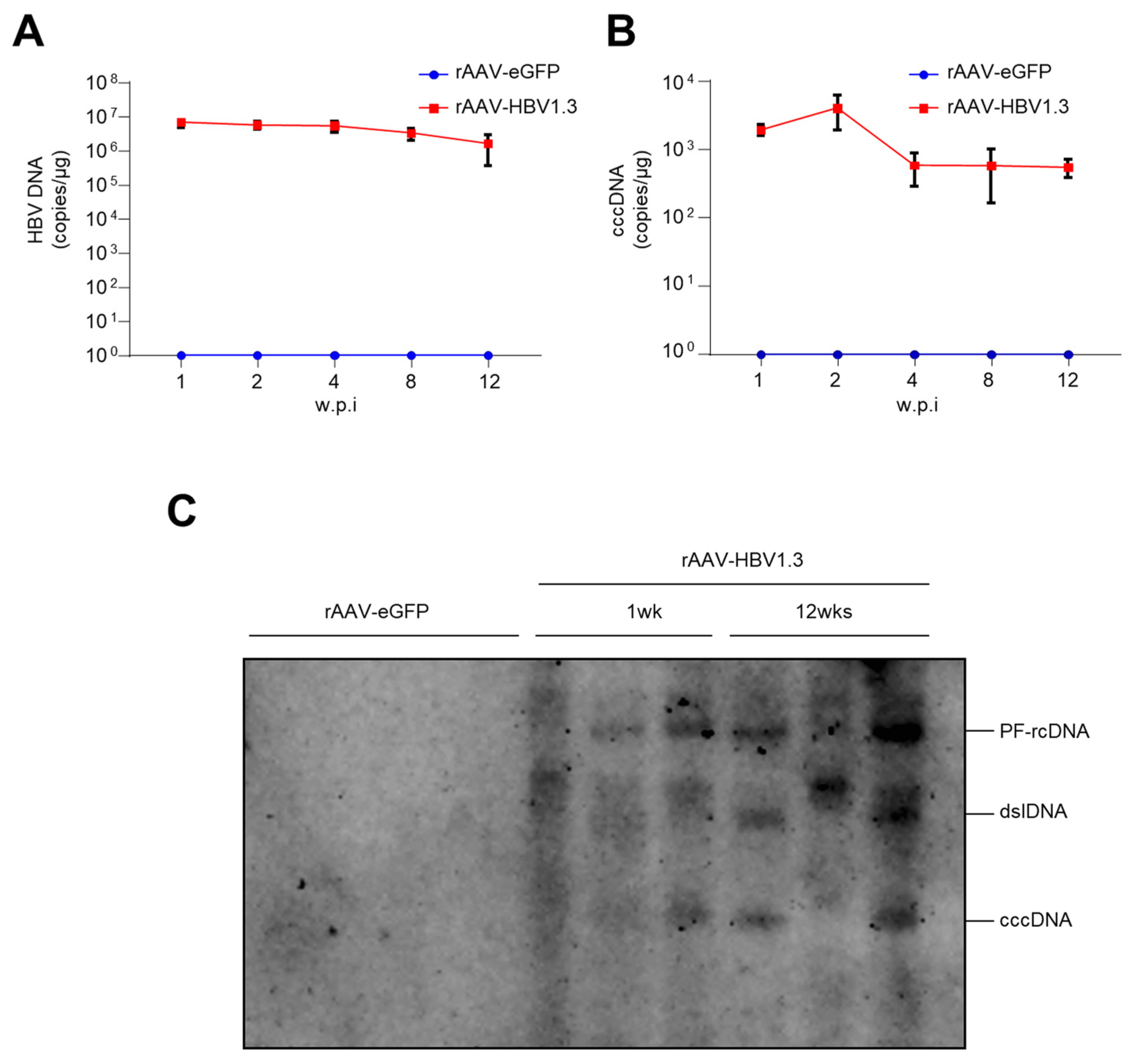 Viruses 16 01890 g002