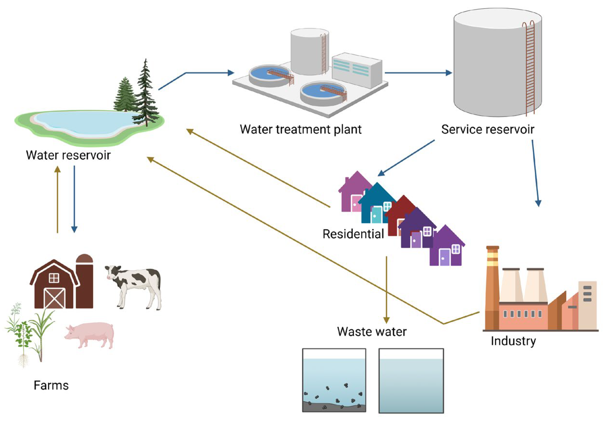 Viruses 16 01897 g001 Viruses 16 01897 g001