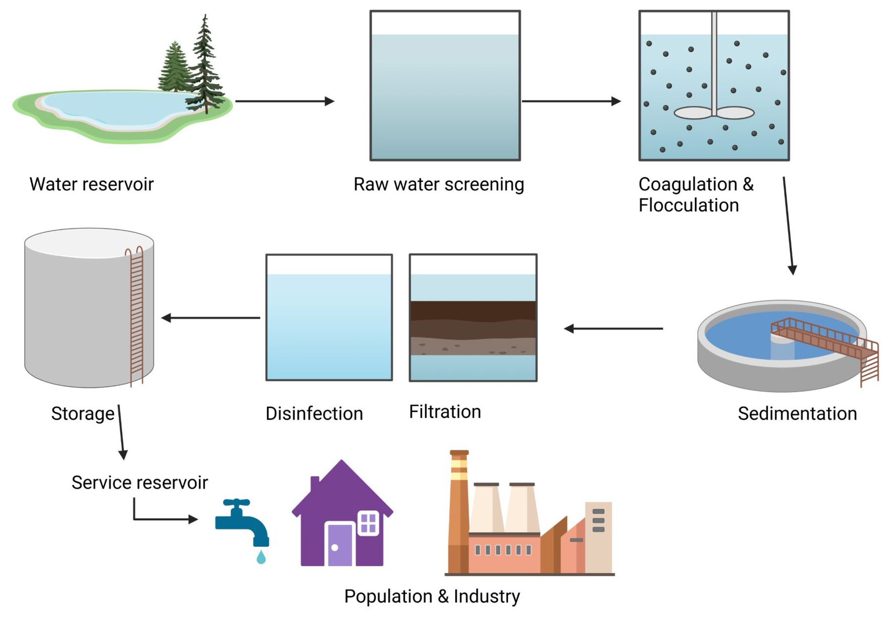 Viruses 16 01897 g002 Viruses 16 01897 g002