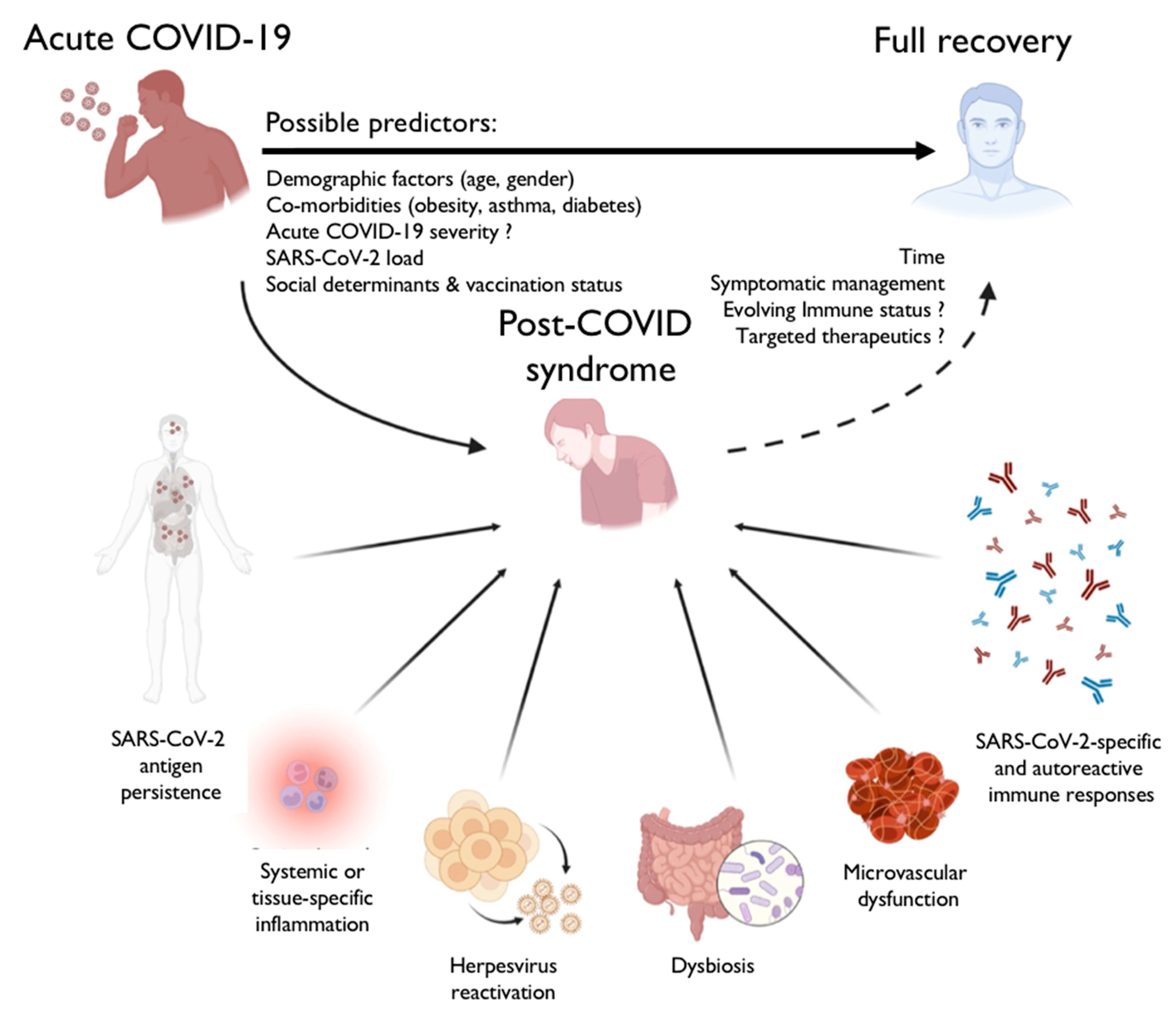 Viruses 16 01901 g001