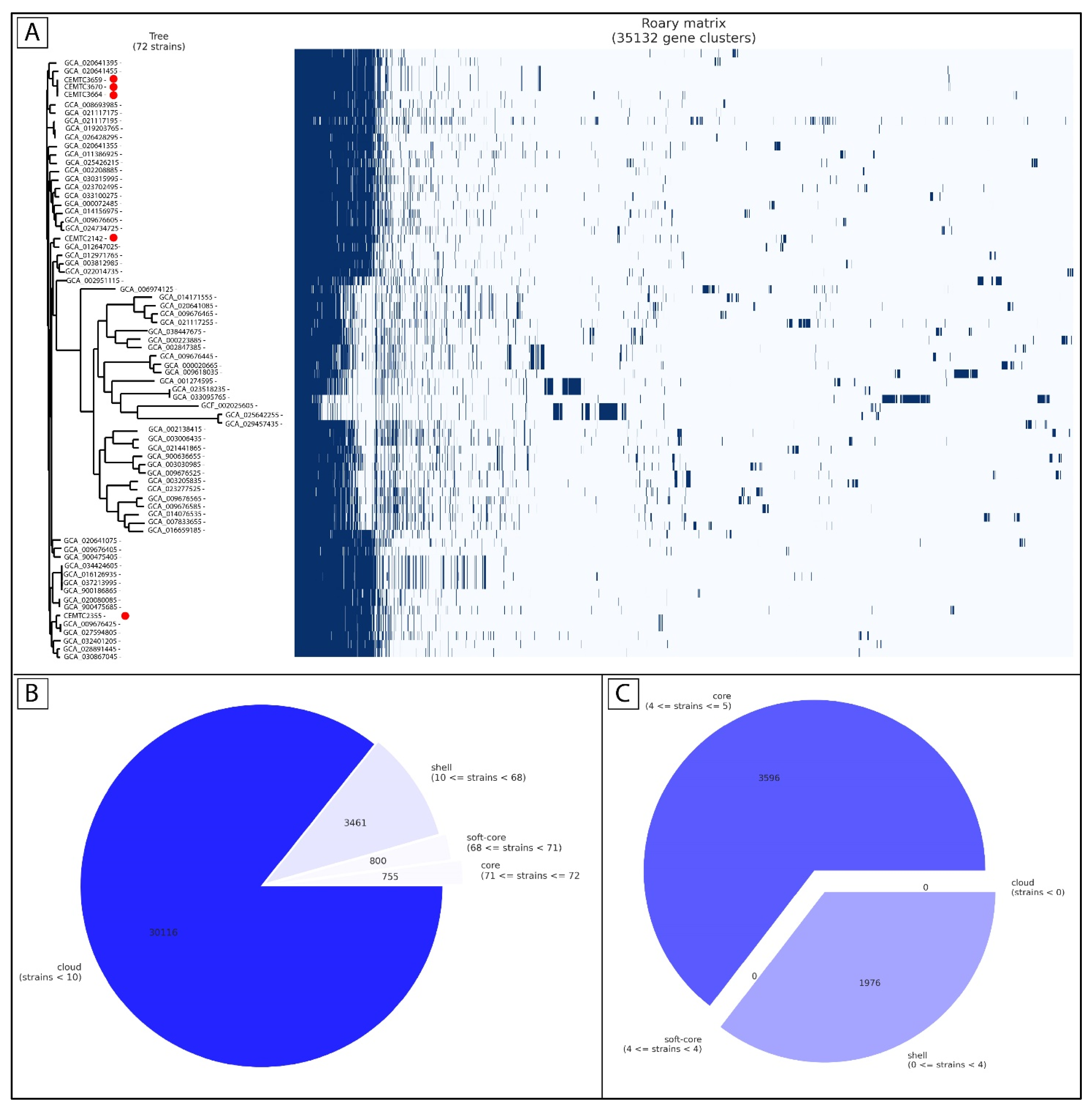 Viruses 16 01903 g001