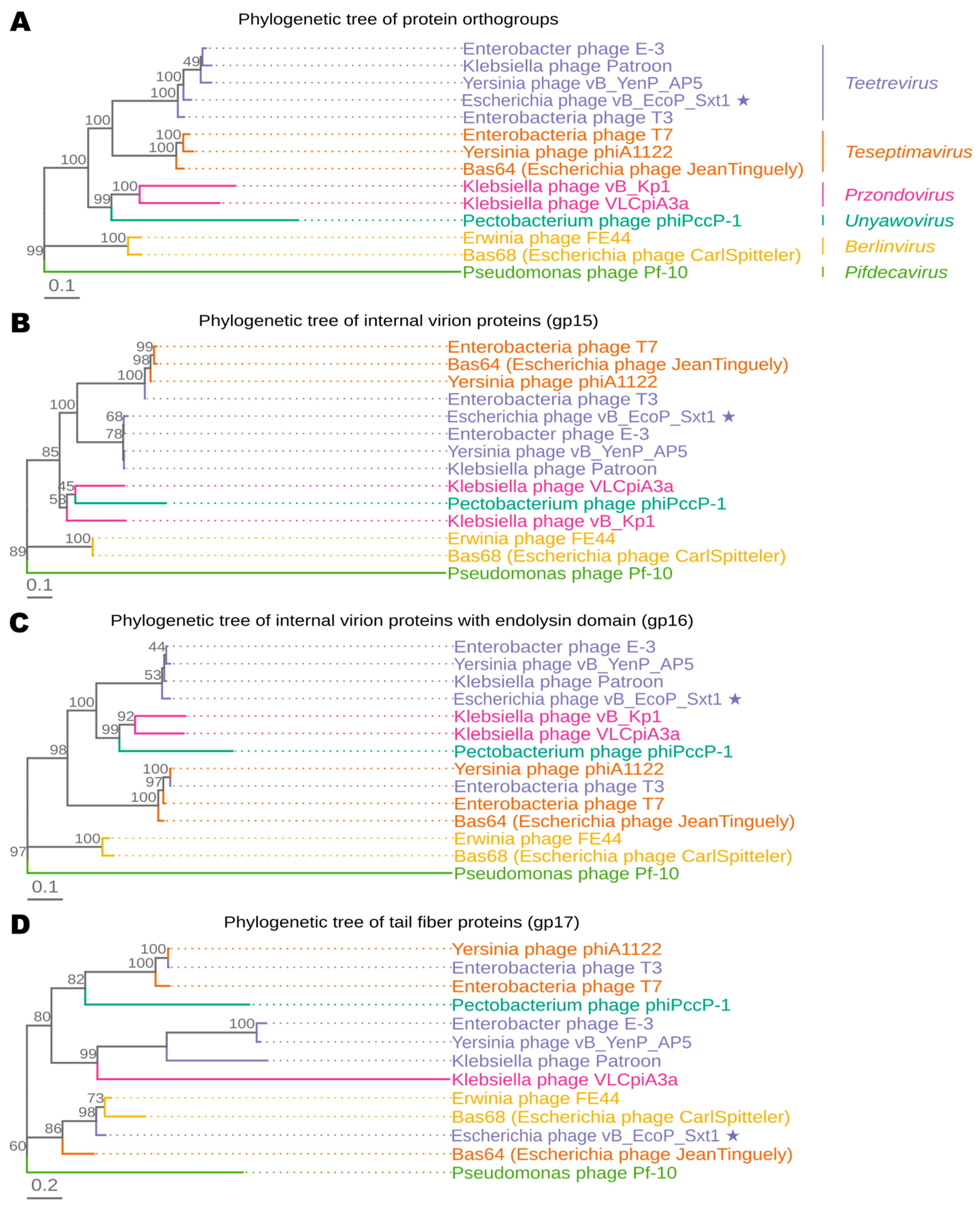 Viruses 16 01905 g003