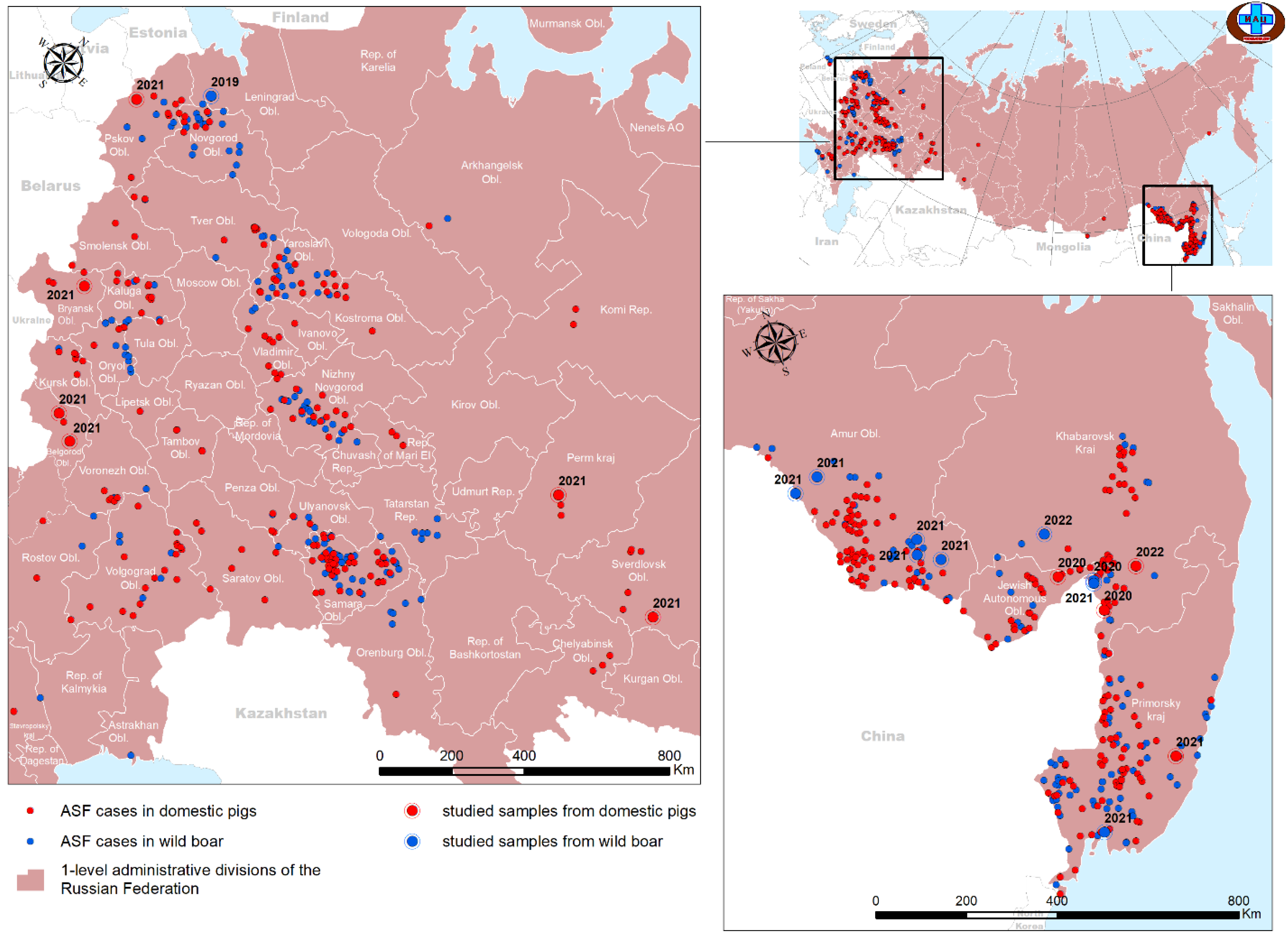 Viruses 16 01907 g001