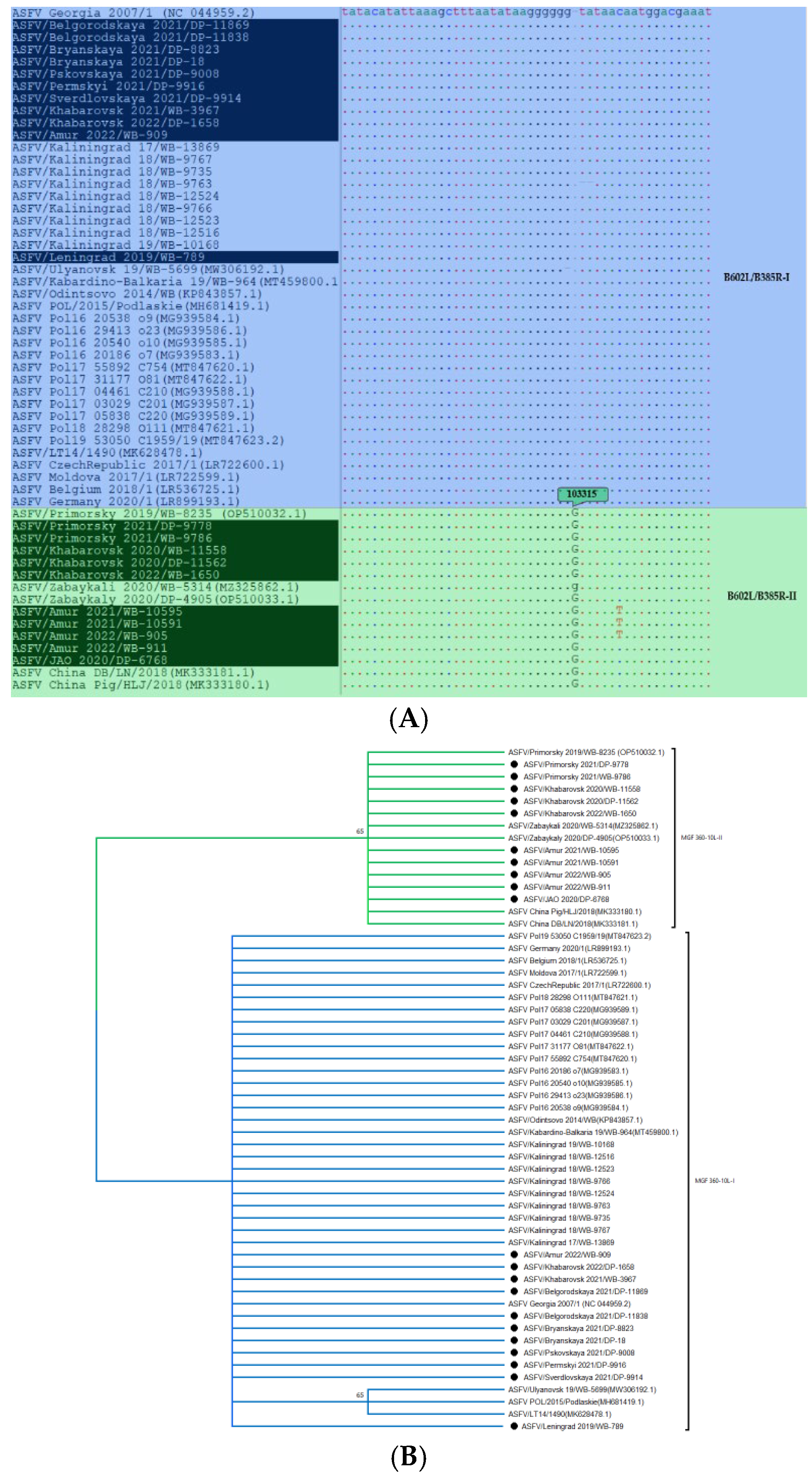 Viruses 16 01907 g006