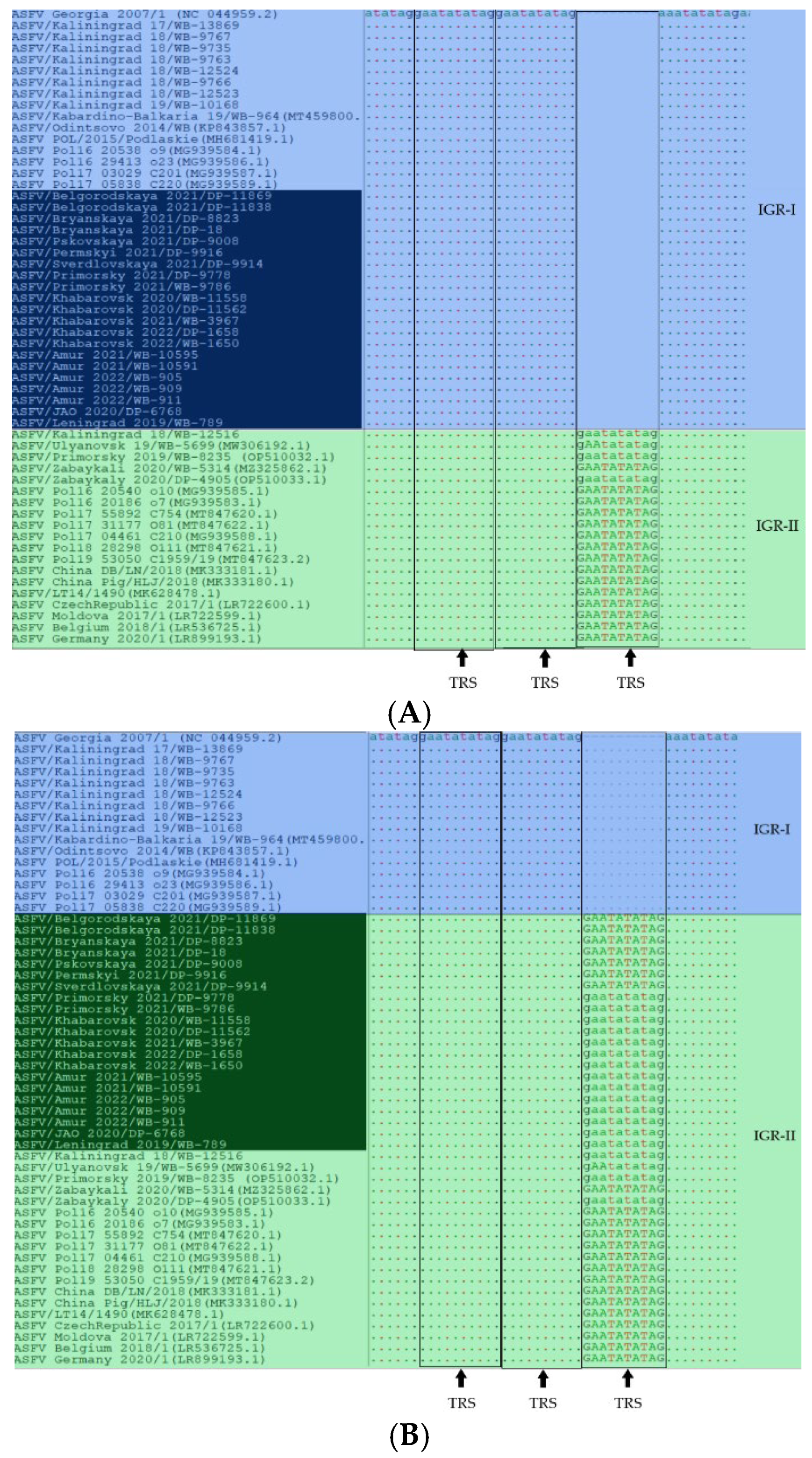 Viruses 16 01907 g007