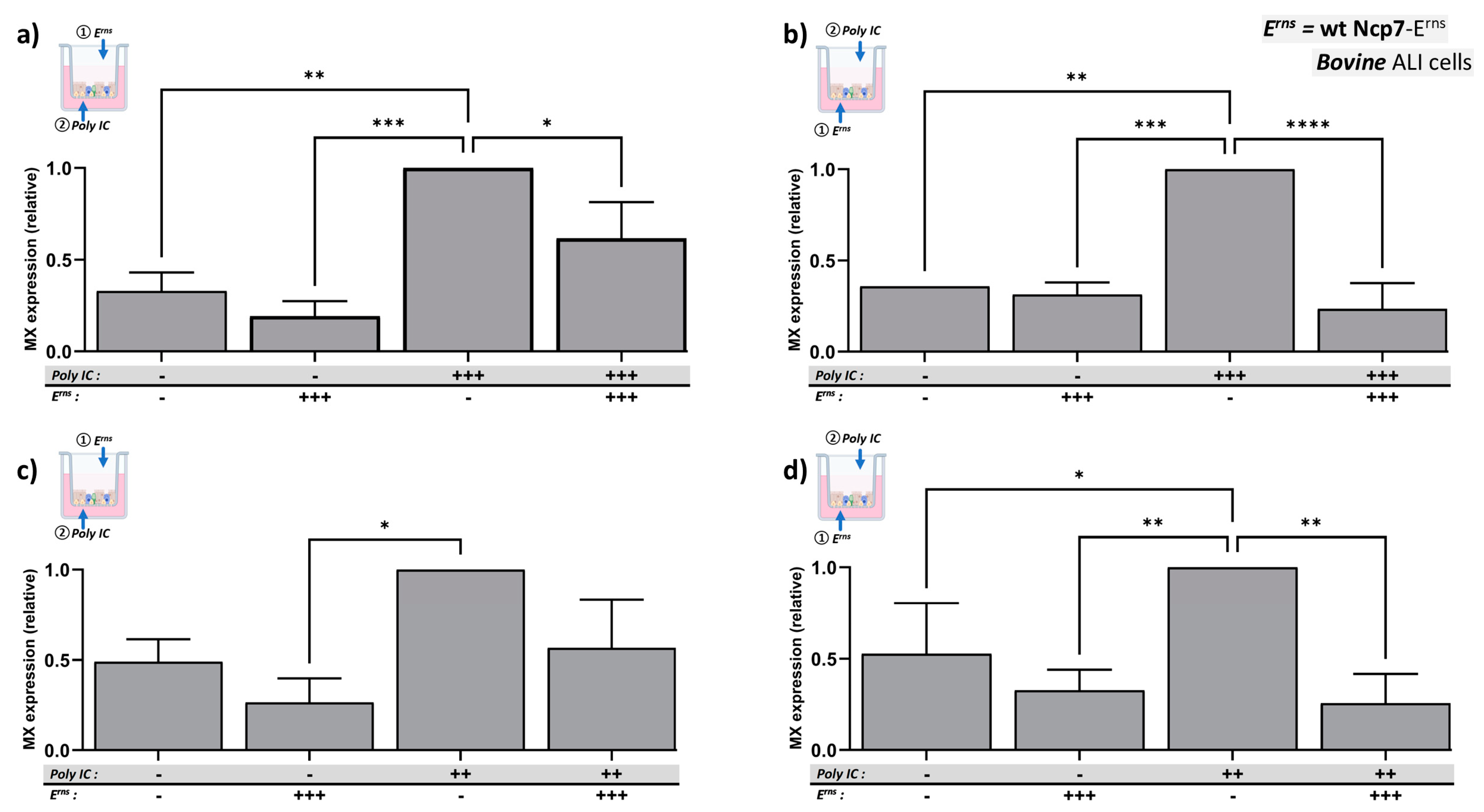 Viruses 16 01908 g003