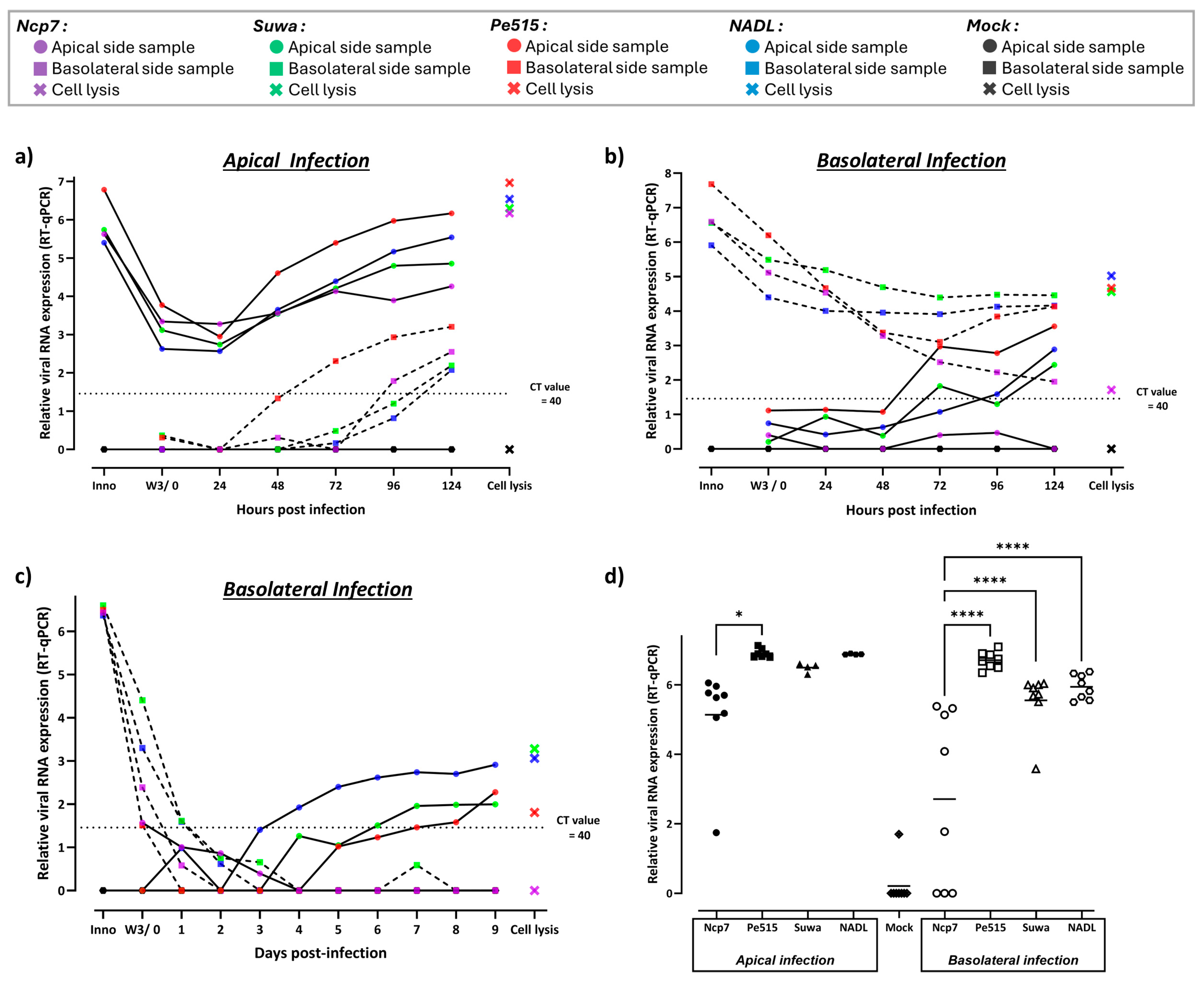 Viruses 16 01908 g004
